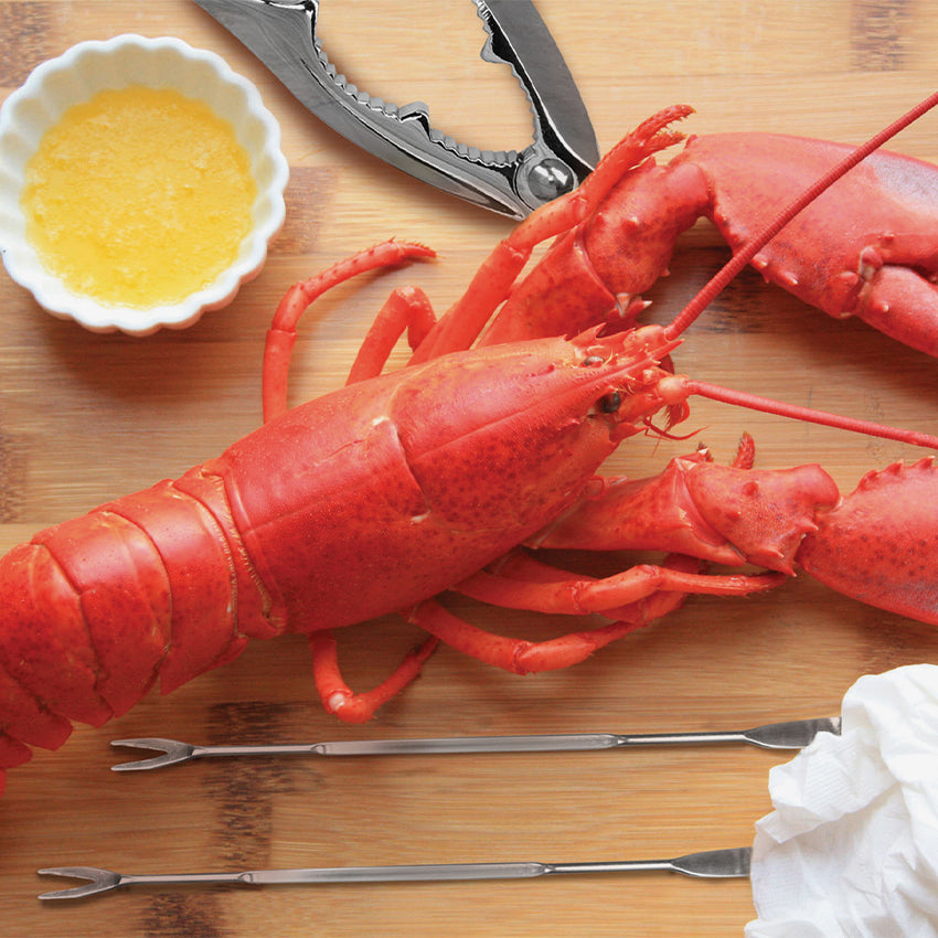Fox Run 8-Piece Seafood Tool Set - Stainless Steel Crab & Lobster Crackers, Shellfish Scissors, Forks - Perfect for Seafood Boils, Crab Feasts & Dinner Parties