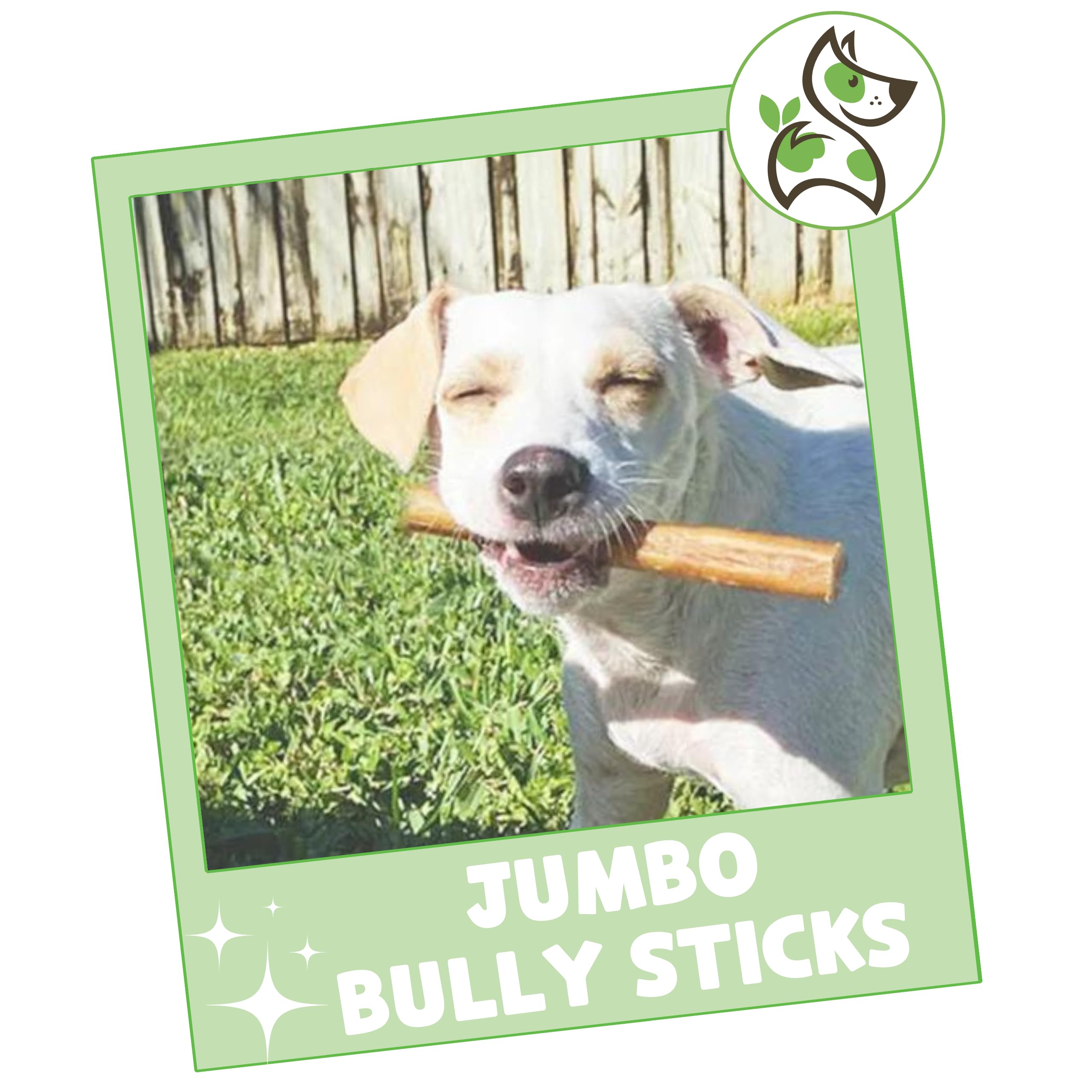 Nature Gnaws Extra Thin Bully Sticks for Small Dogs - 5-6 Inch Natural Beef Dog Chews (10 Count) | Long-Lasting Dental Treats for Puppies & Light Chewers | Perfect for Teething, Training & Anxiety Relief