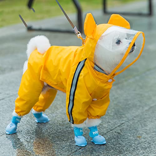 yellow bear raincoat