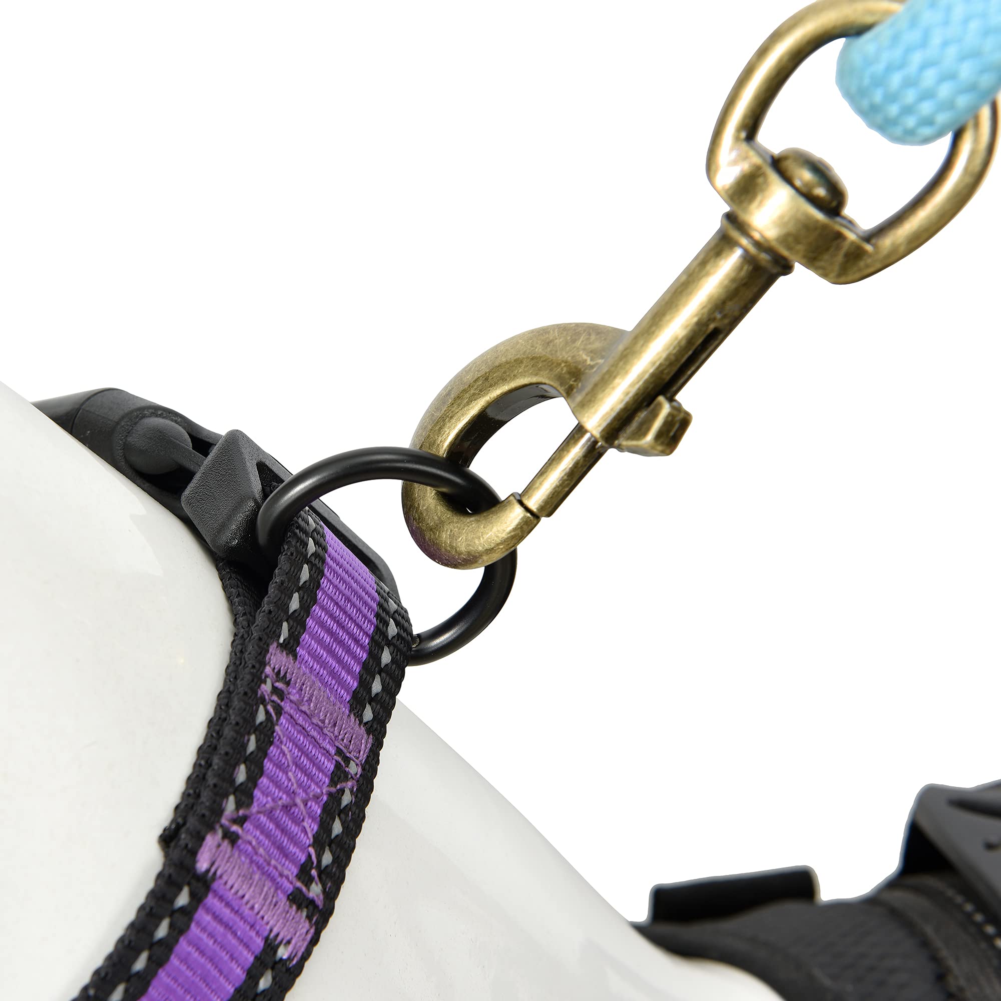 Reflective Nylon Dog Collar - Lightweight Purple Puppy Collar for Small Dogs - Perfect for Night Walks