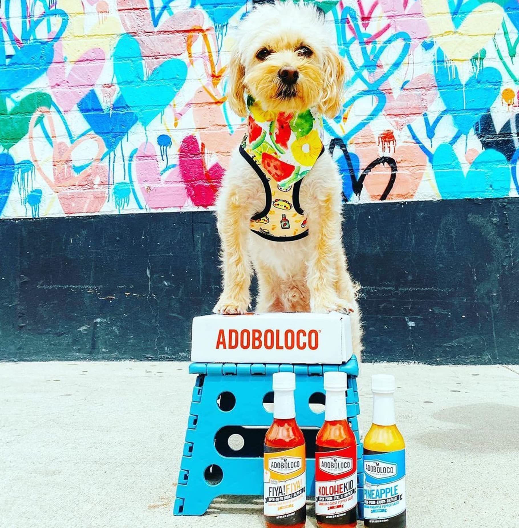 Adoboloco Hawaiian Jalapeno Hot Sauce - Mild Red Umami Flavor (3-Pack, 5oz Bottles) | Fiery Chili Pepper Sauce for Cooking, Sauteing, Salad Dressing & Condiment | Perfect for Tacos, Wings & BBQ