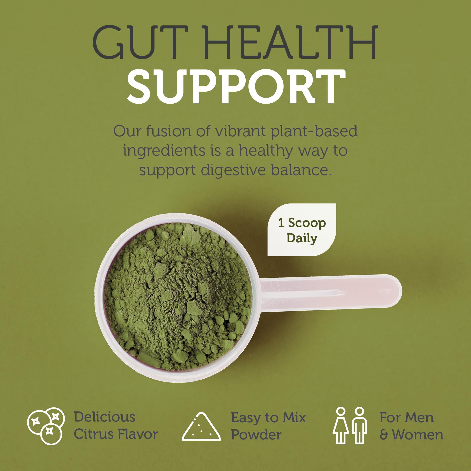 Zahler Core Greens - Organic Superfood Powder with Spirulina, Chlorella & Phytonutrients - Kosher, Non-GMO, Citrus Flavor for Green Juice & Smoothies - Boost Energy & Detox for Active Lifestyles