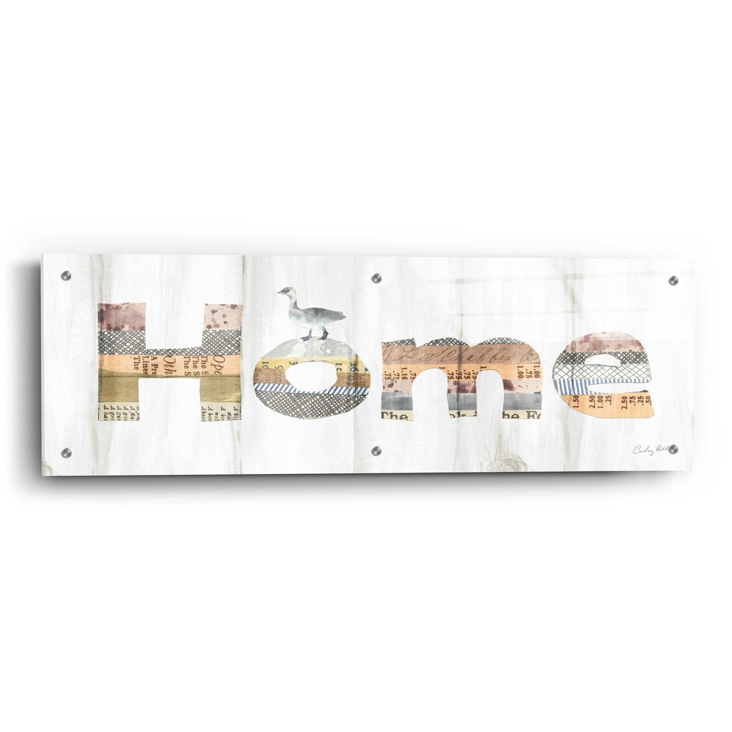 Farm Family III by Courtney Prahl - 36x12 Inch Acrylic Glass Wall Art Painting - Modern Home Decor for Living Room, Bedroom & Office