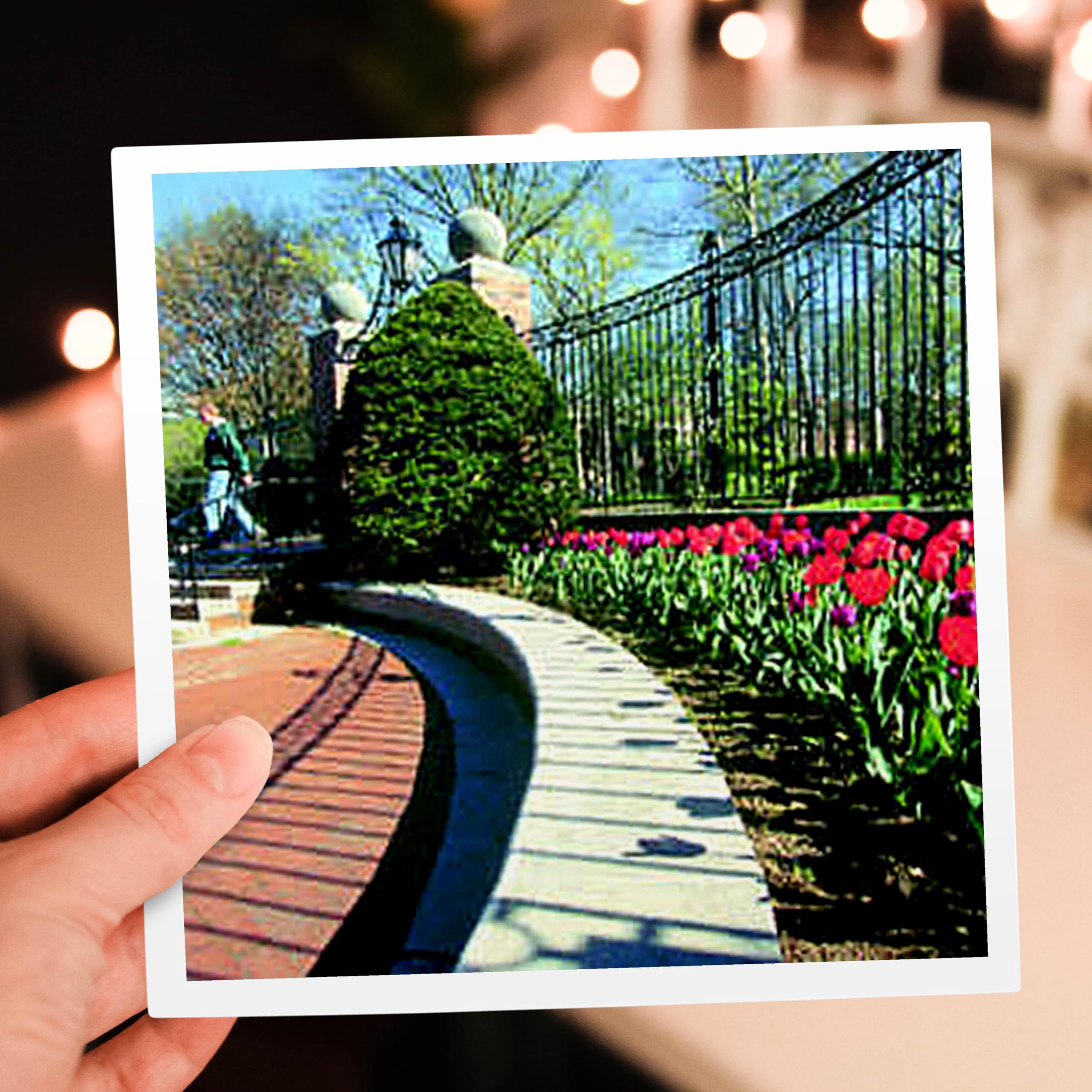 Beautiful Tulip Greeting Card for Ohio University Alumni - Perfect for Graduation, Birthdays & Special Occasions