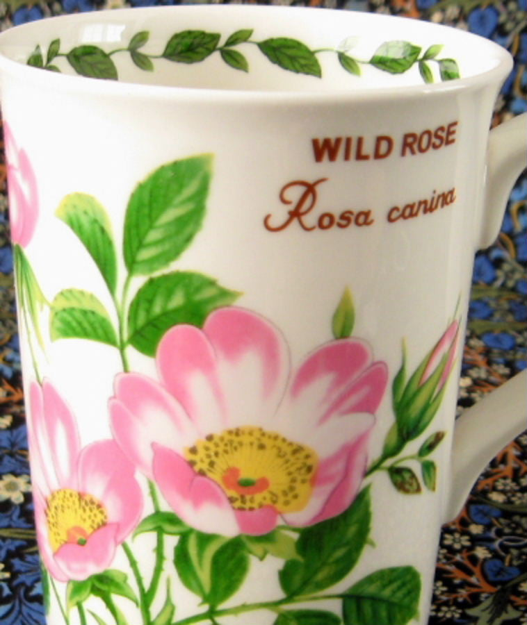 Wild Rose Botanical English Bone China Mug - Elegant Pink Roses Design, Perfect for Tea & Coffee Lovers | Ideal for Home, Office & Gift Giving