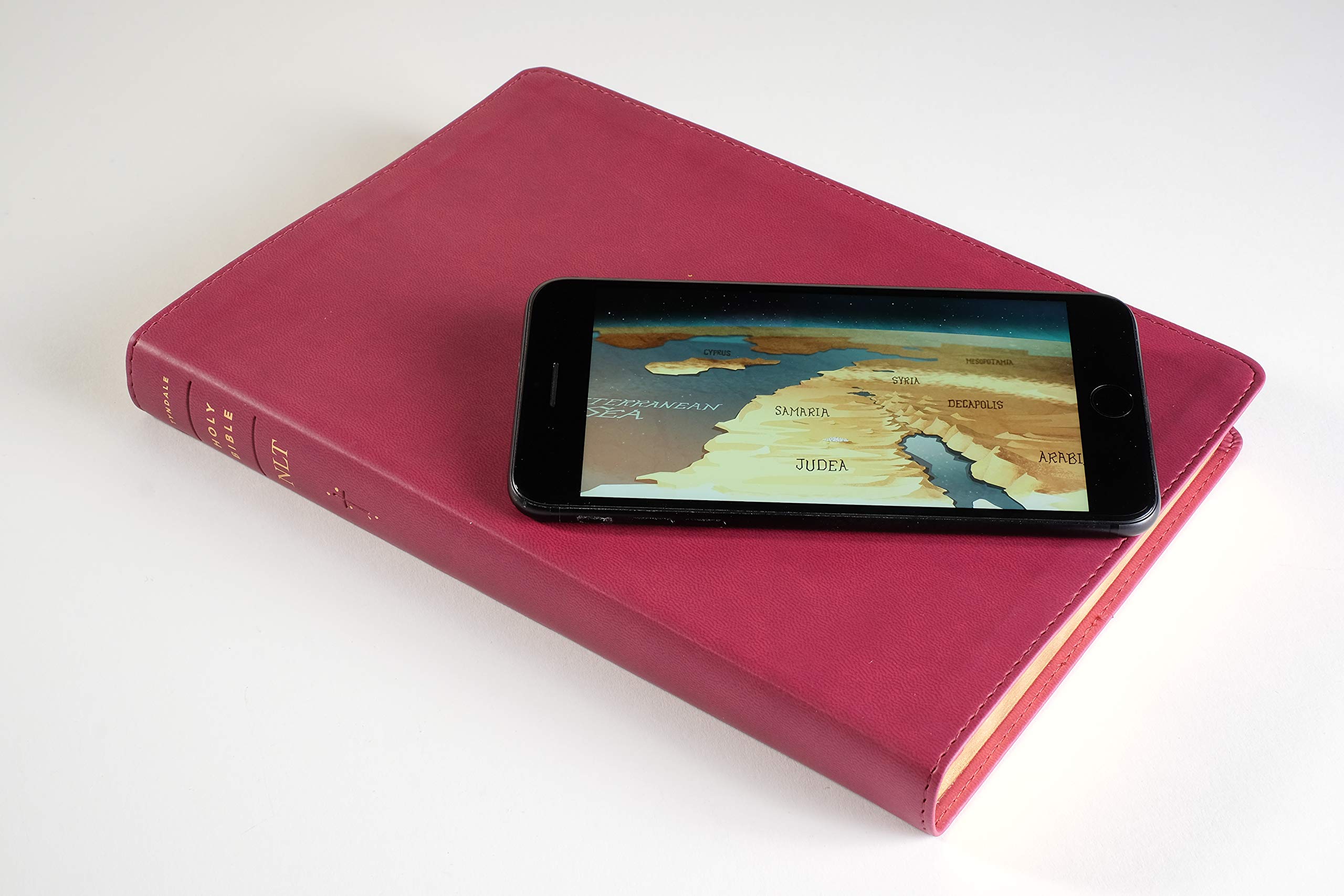 Large Print Thinline Bible - LeatherLike Aurora Cranberry | Free Bible App for Devotionals & Worship Music | Perfect for Church & Bible Study