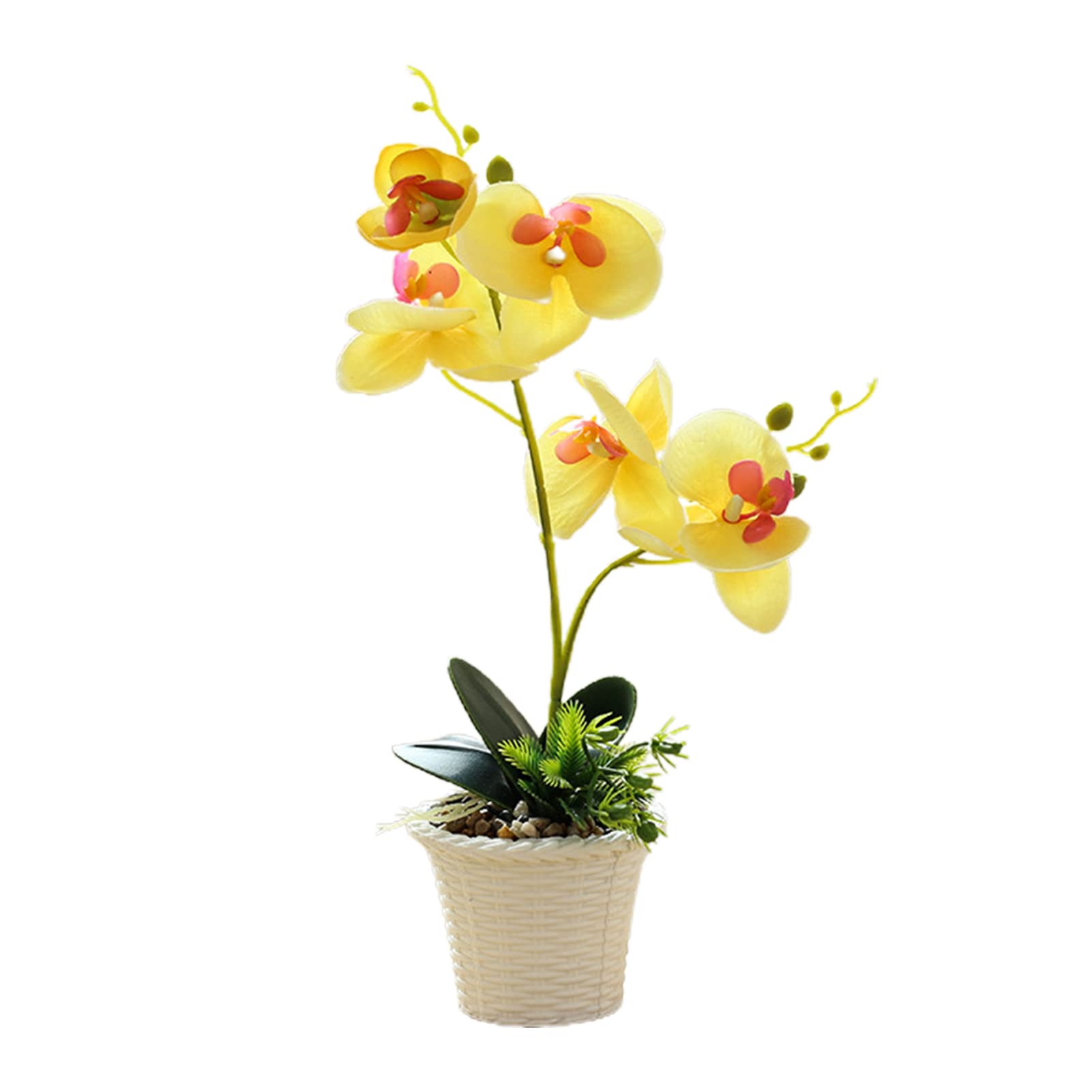 Kasituny 1Pc Clear Plastic Artificial Potted Plant - Realistic Fake Flower for Wedding Centerpieces, Home Decor, Office Desk Decorations | Perfect for Table Decor, Party Decorations & Gift Ideas