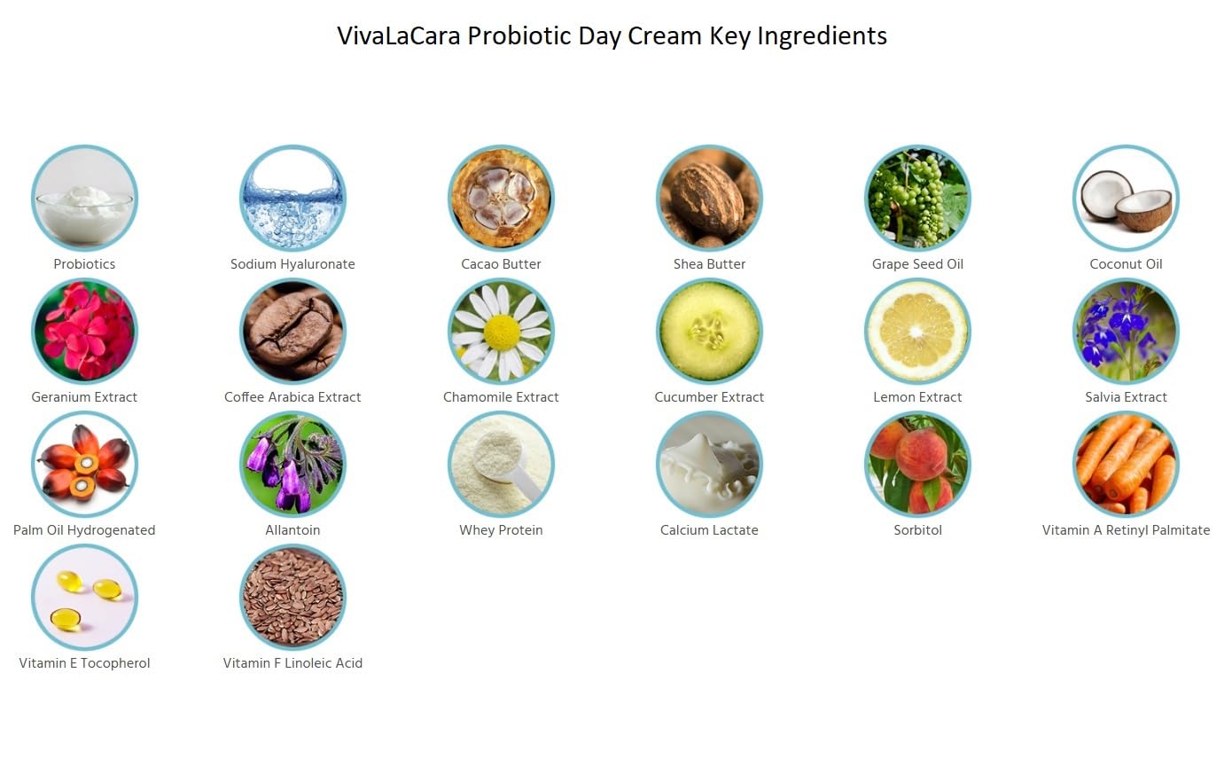 VivaLaCara Probiotic Day Cream - Anti-Aging Face Moisturizer for Wrinkle Reduction, Dry & Sensitive Skin Care, Brightening Formula for Mature Skin | 50mL (1.7oz) | Perfect for Daily Hydration & Nighttime Skin Repair