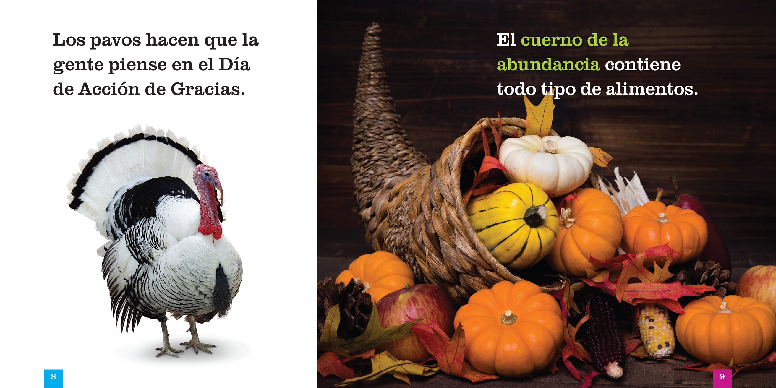 Thanksgiving Decorations & Gifts - Turkey, Pumpkins, Fall Leaves for Home, Party & Holiday Celebration