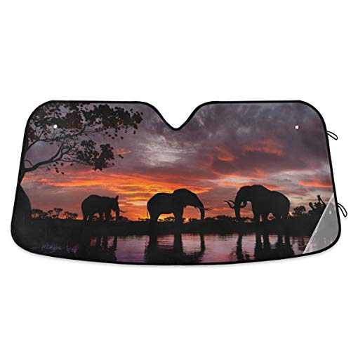 Elephants At Sunset