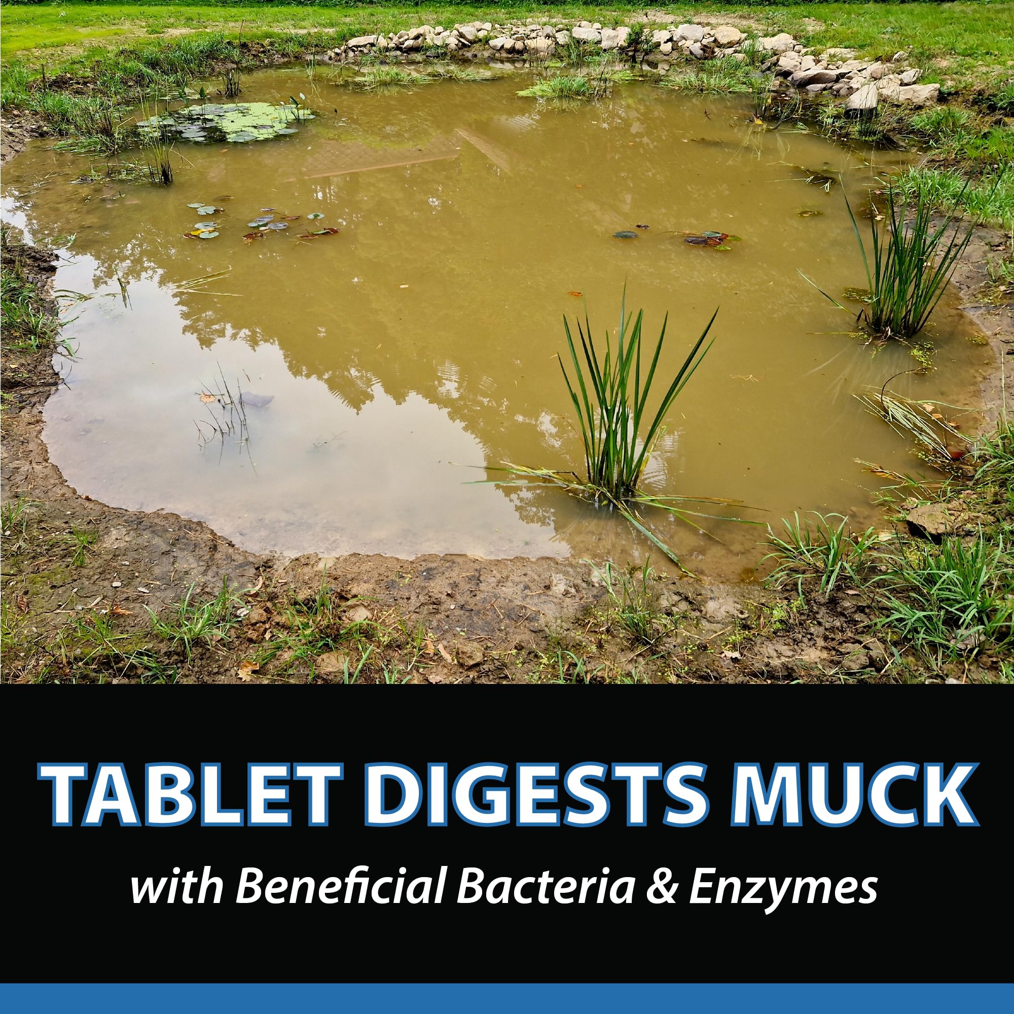 CrystalClear MuckOff Natural Pond Muck Treatment - 384 Tablets for Water Garden, Fountain & Bird Bath Sludge Removal | Safe for Fish, Aquatic Animals & Pets | Beneficial Bacteria & Enzyme Clarifier | Perfect for Backyard Ponds, Decorative Fountains & Wildlife Habitats