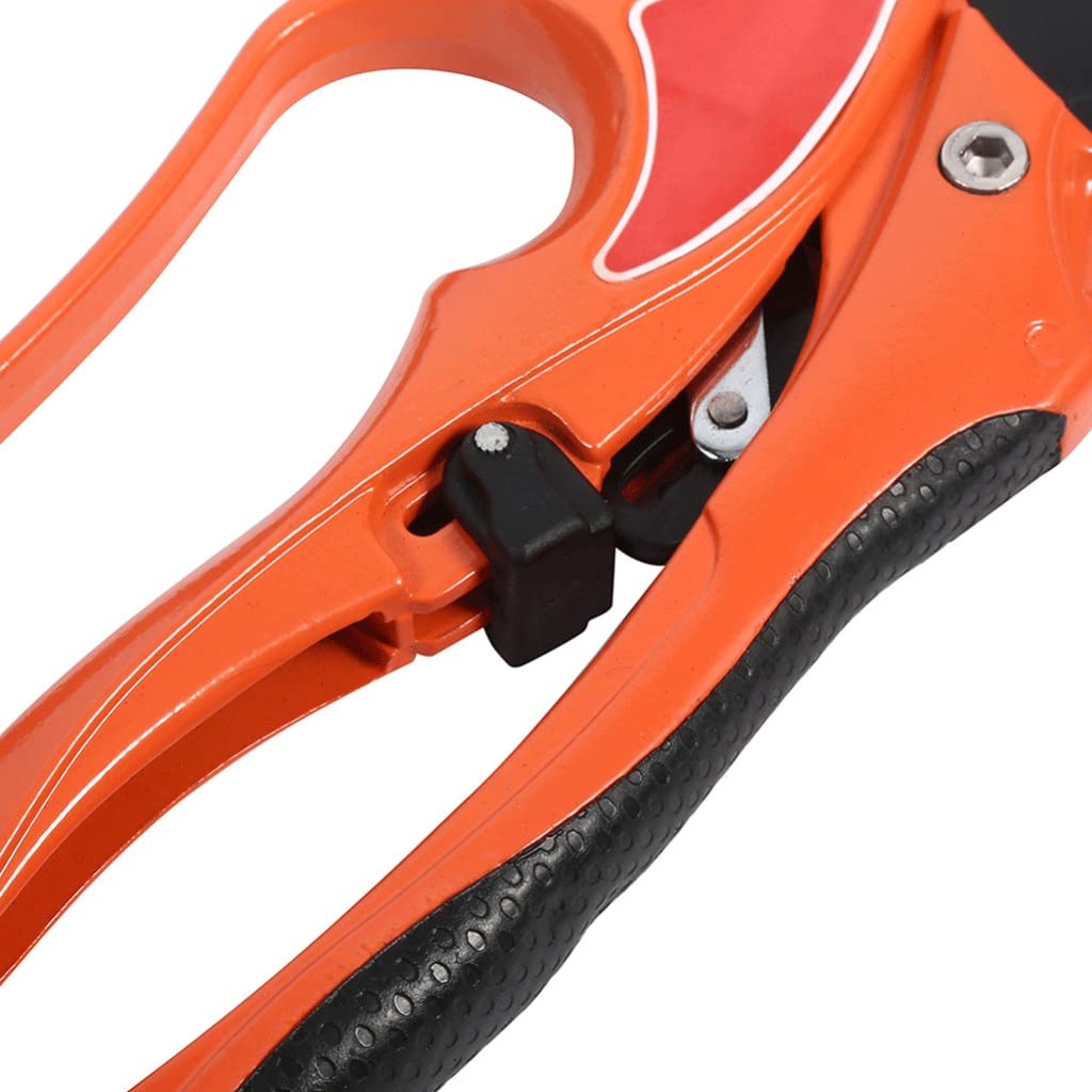 Premium Garden Scissors - 1 Pack Sharp Bonsai Pruning Shears for Fruit Trees, Plants & Gardening | Ergonomic Grafting Tool & Portable Secateurs for Home Garden, Landscaping & Professional Use