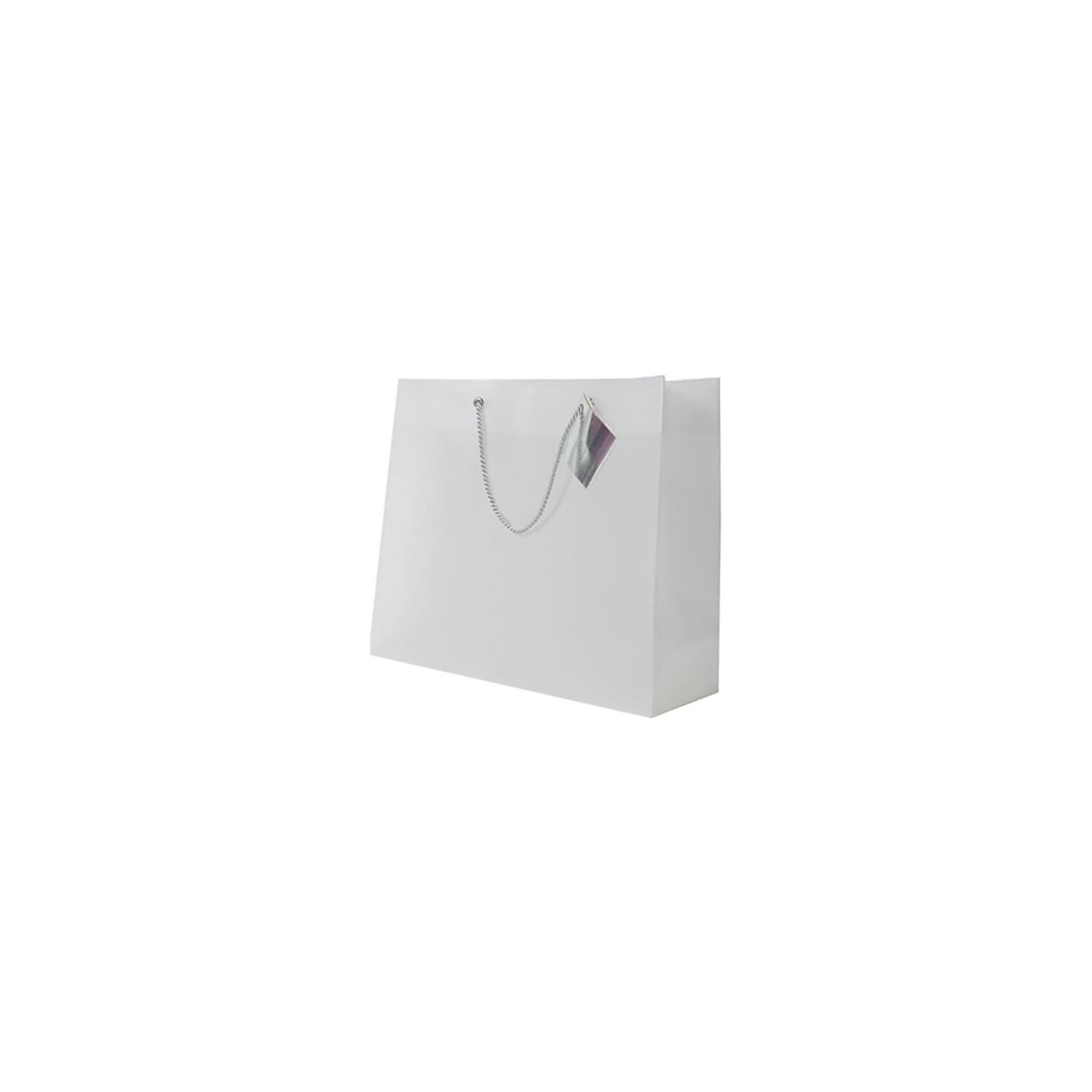 JAM Paper Opaque Shopping Bags - Large 13x10.5x4 Inches - Clear Plastic Bulk Pack of 100 - Perfect for Retail Stores, Gift Bags & Party Favors