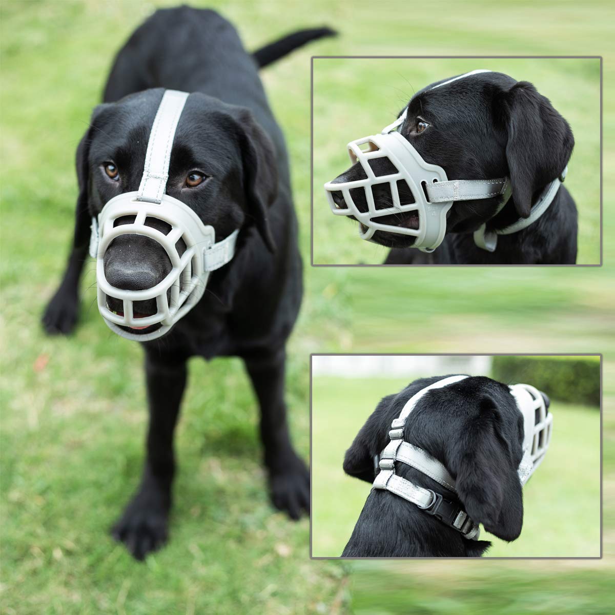 BARKLESS Soft Silicone Basket Dog Muzzle - Breathable & Drinkable Anti-Biting Chewing Barking Control for Small Medium Large Dogs - Includes Adjustable Collar & Training Guide - Perfect for Grooming, Vet Visits, and Public Outings