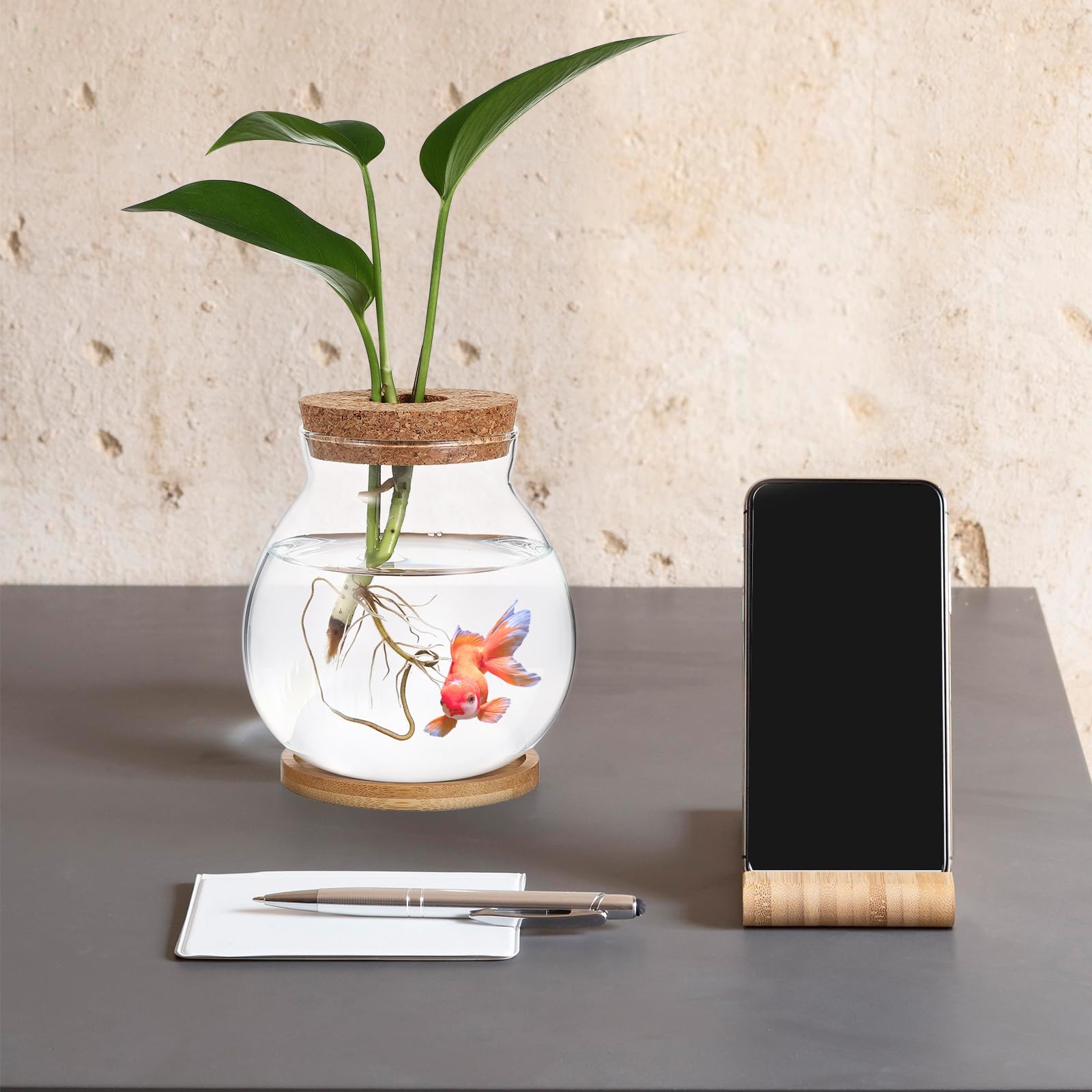 Balacoo Clear Glass Desktop Hydroponic Fish Bowl with Bamboo Cushion & Wood Lid - Small Betta Fish Tank & Plant Terrarium for Home Office Decor | Perfect for Desk Decor, Zen Gardens, and Indoor Plant Displays