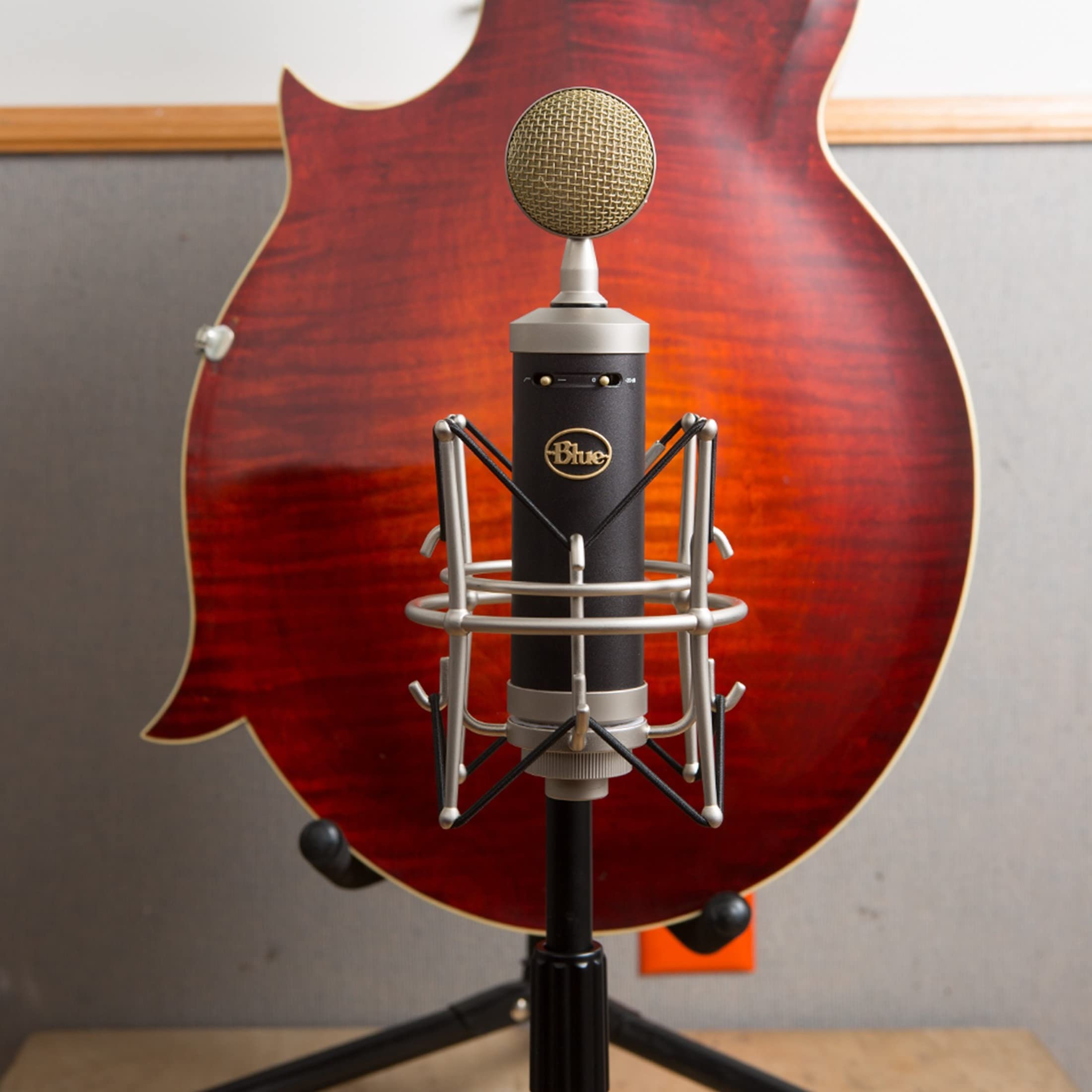 Blue Baby Bottle XLR Cardioid Condenser Microphone - Professional Studio Recording, Live Streaming, Podcasting & Gaming Mic with Large Diaphragm, Shock Mount & Case - Perfect for Home Studios, Voiceovers & Content Creation