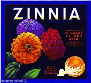 Vintage Orange Fruit Crate Art Print Magnet - San Bernardino County Upland Zinnia Flowers Design - Perfect for Fridge, Office Decor & Gift Ideas