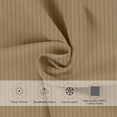 Camel Stripe