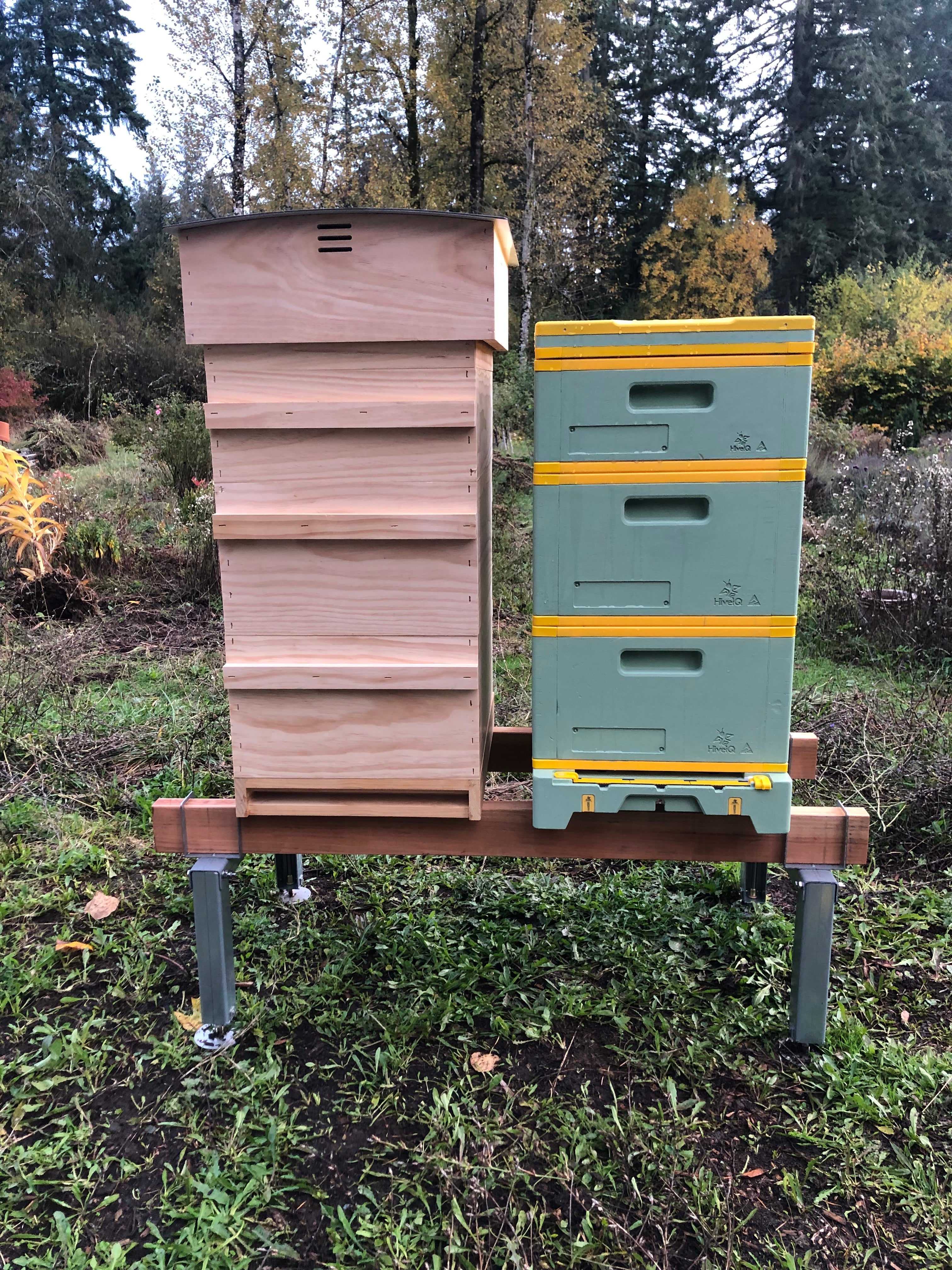 Multi Hive Stand for Beekeeping - Heavy Duty 3-Hive Beekeeping Equipment | Perfect for Backyard Apiaries & Honey Production