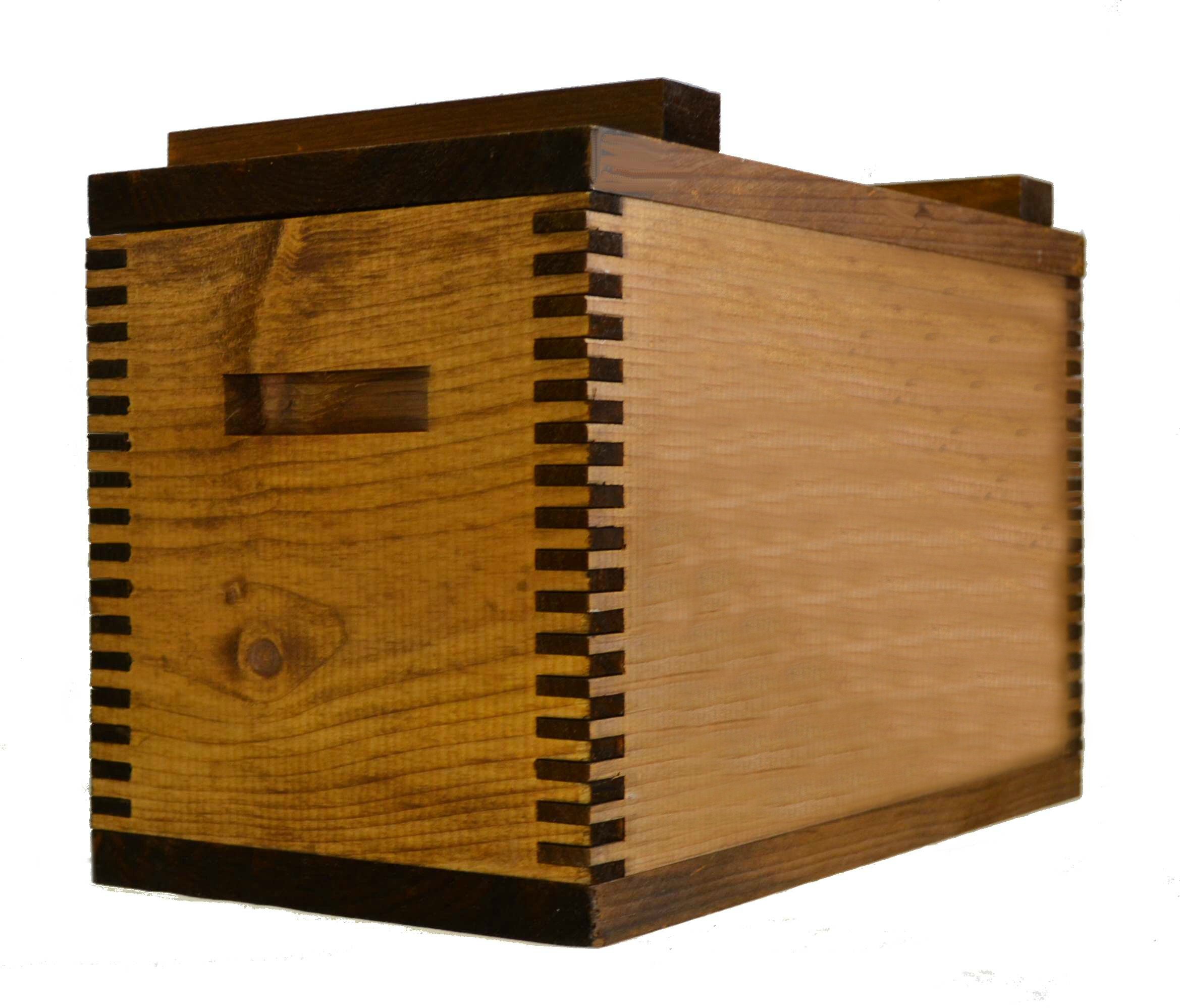 Standard Ammo Box - Durable Ammo Storage Case for Guns & Rifles - Perfect for Range Shooting, Hunting & Home Defense