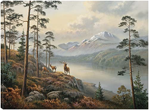 Call of the Wild
