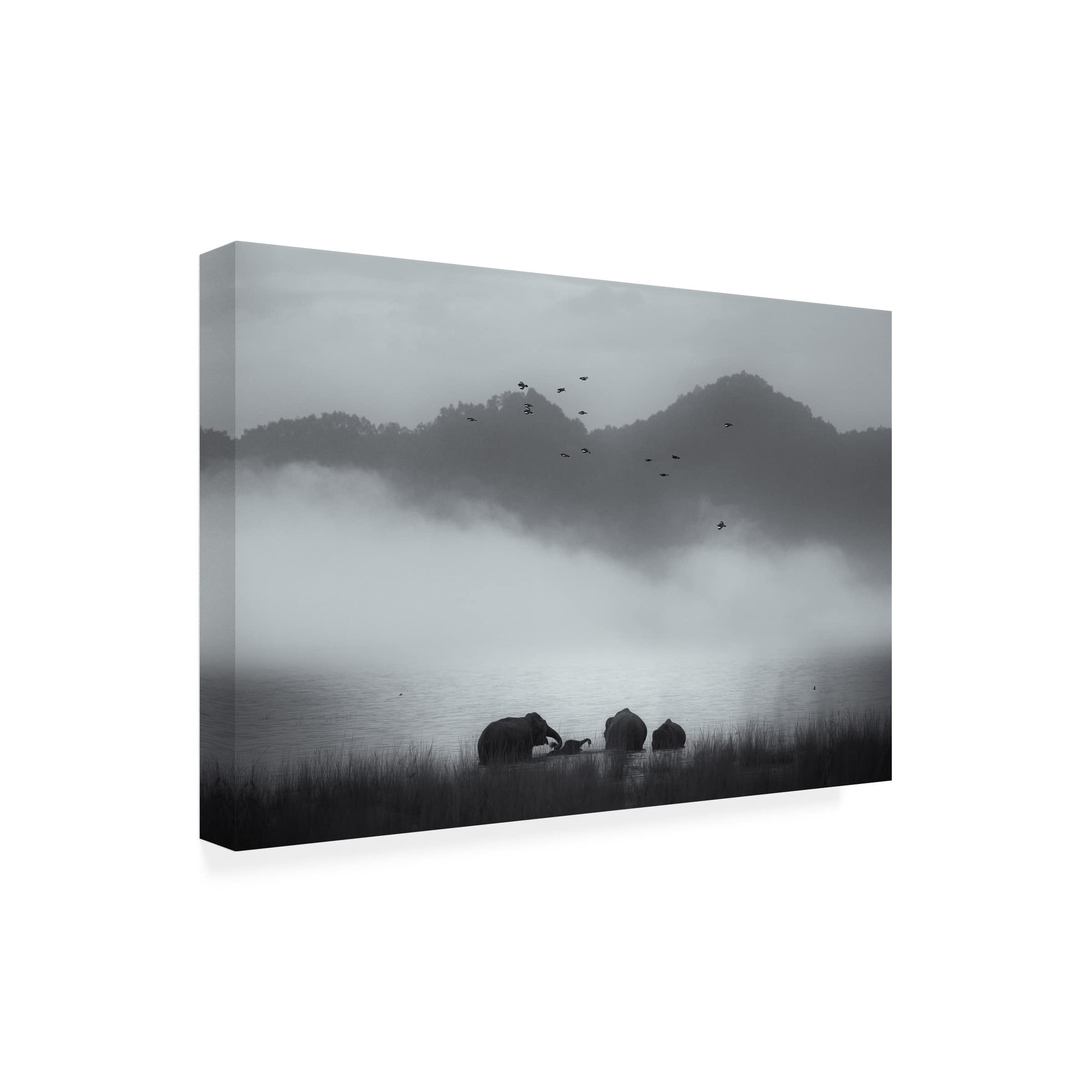 Trademark Fine Art 'Misty Moments' Canvas Wall Art by Swapnil - Modern Landscape Painting for Living Room, Bedroom & Office Decor