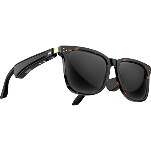 Tortoise Brown