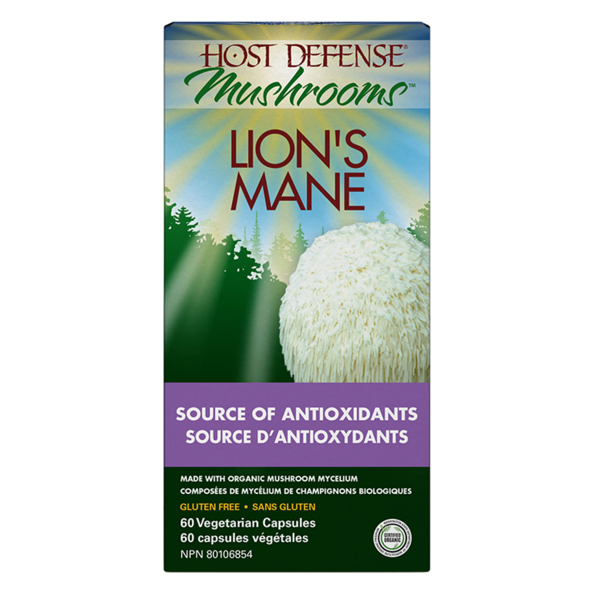 Premium Lion's Mane Mushroom Supplement for Memory, Focus & Nerve Support - Brain Booster for Cognitive Health & Mental Clarity - Ideal for Students, Professionals & Seniors