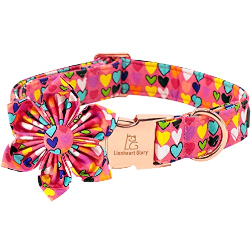 B:Colorful Hearts