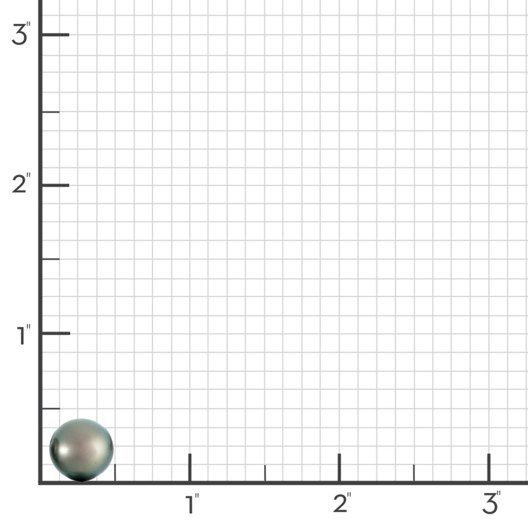 11mm Gray Tahitian Pearl Earrings for Women - Genuine Pearl Stud Earrings with Sterling Silver Post - Perfect for Weddings, Parties & Special Occasions