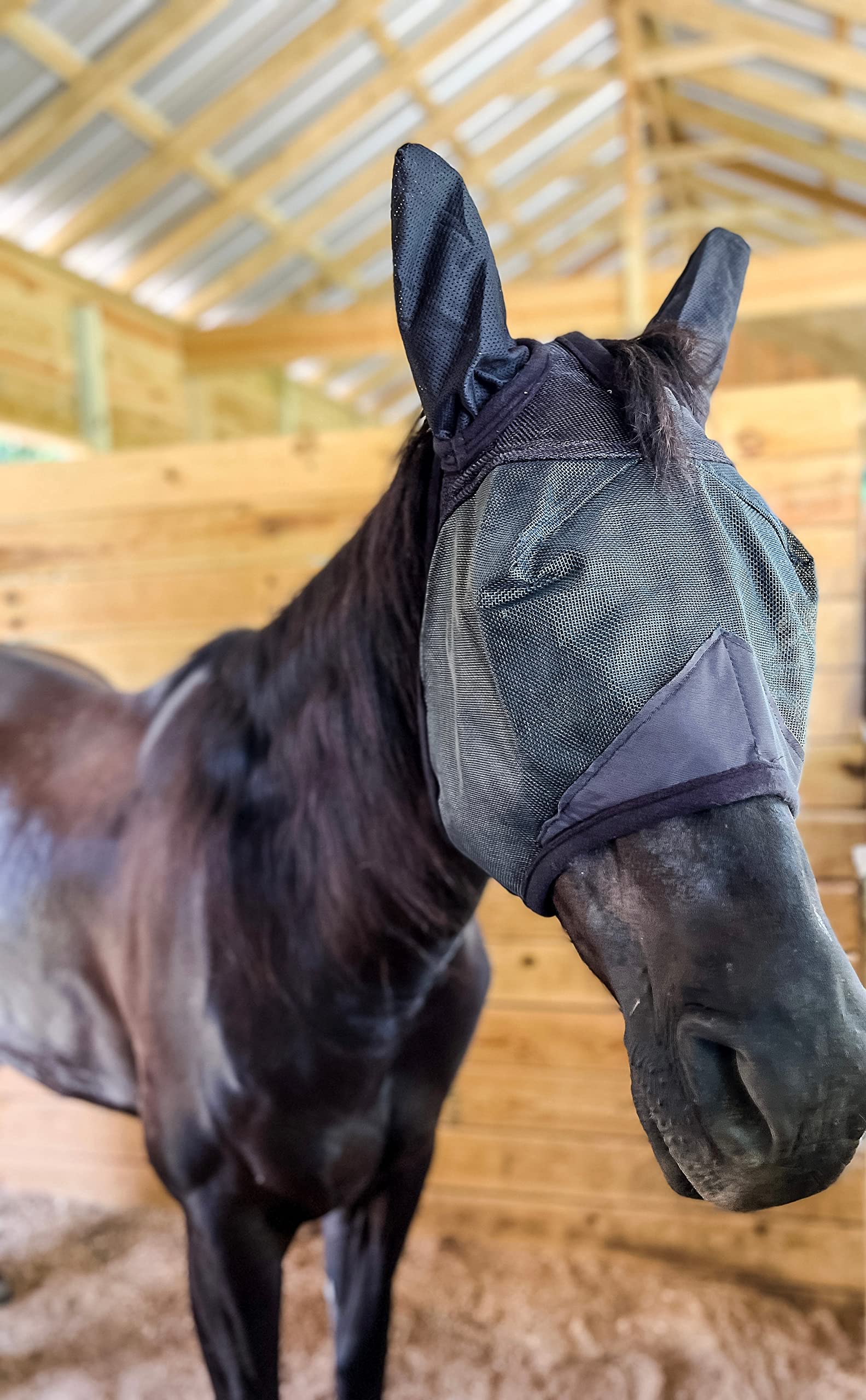 AJ Tack Fly Mask with Ears - Small Horse Fly Mask for Summer Protection - Perfect for Riding, Training, and Pasture Use