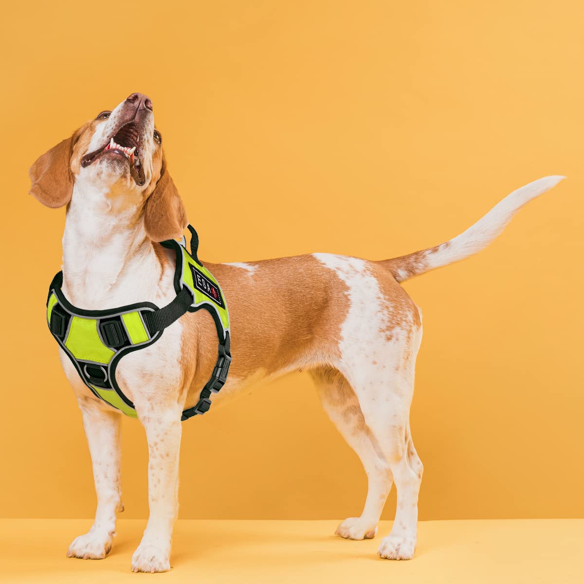 No-Pull Dog Harness with Reflective Patches & Quick Release Buckles - Soft Comfortable Vest for Medium Dogs (21-25 inches) - Perfect for Walking, Training & Outdoor Adventures (Green)
