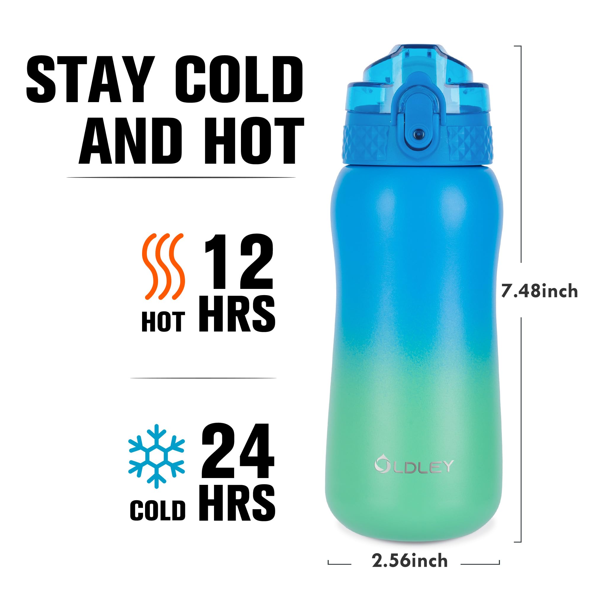 OLDLEY 12oz Insulated Stainless Steel Water Bottle with Straw & 2 Lids - Double Wall Vacuum Kids Water Bottle for School, Sports, Travel - Leak Proof & Eco Friendly - Perfect for School Lunches, Gym Workouts & Outdoor Adventures (Tropical Rainforest Design)