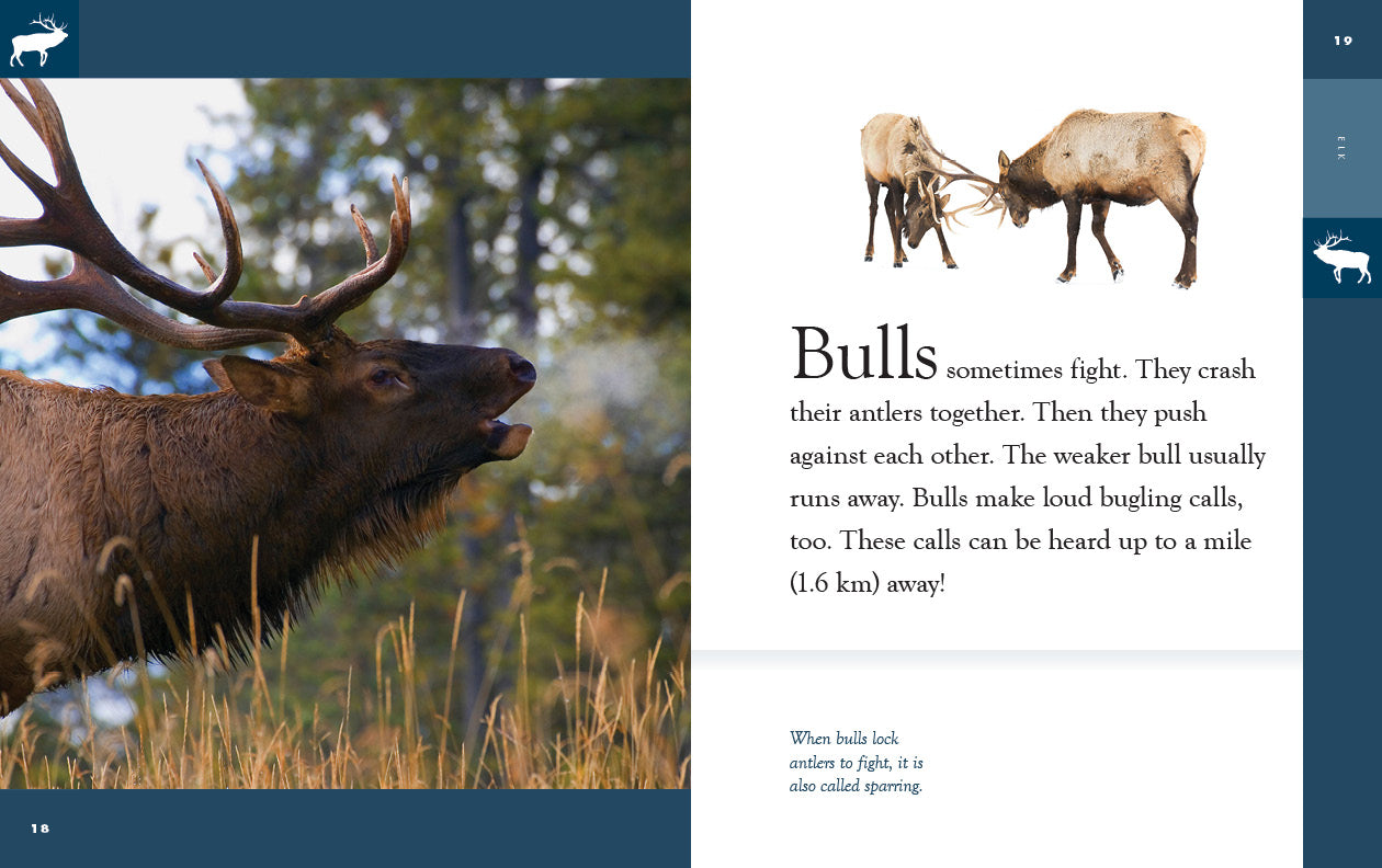 Elk: 9781640265622 - Wildlife Book for Nature Enthusiasts | Perfect for Outdoor Adventures & Animal Research