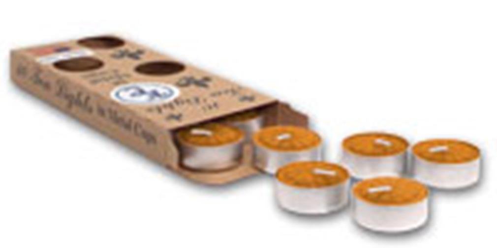 Premium Spiced Pumpkin Scented Tea Lights - Handmade Soy Wax Candles for Fall Decor, Thanksgiving & Cozy Home Ambiance