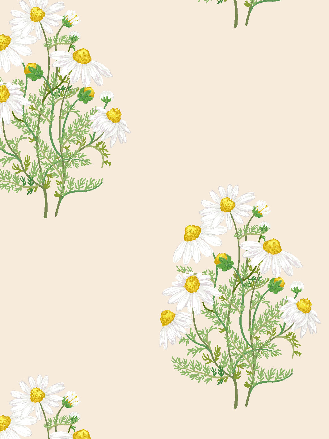 Sarah Jessica Parker 'Fleur De Camomille' Pearl Wallpaper - Elegant Floral Peel & Stick Wallpaper for Bedroom, Living Room, Nursery Decor