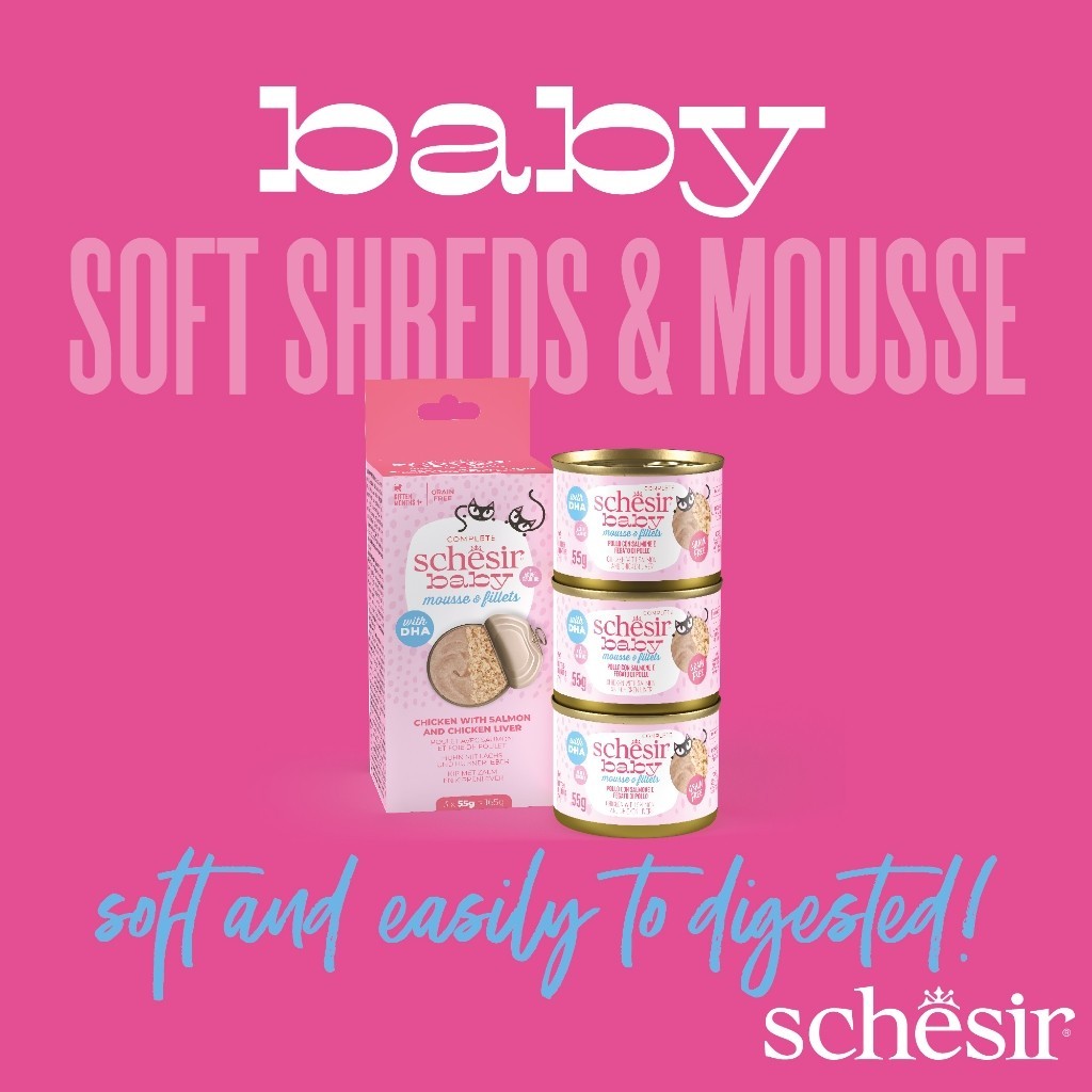 Schesir Grain-Free Kitten Wet Food - Complete & Balanced Nutrition with Wholefood Fillet & Velvet Mousse (70g) - Perfect for Growing Kittens and Picky Eaters