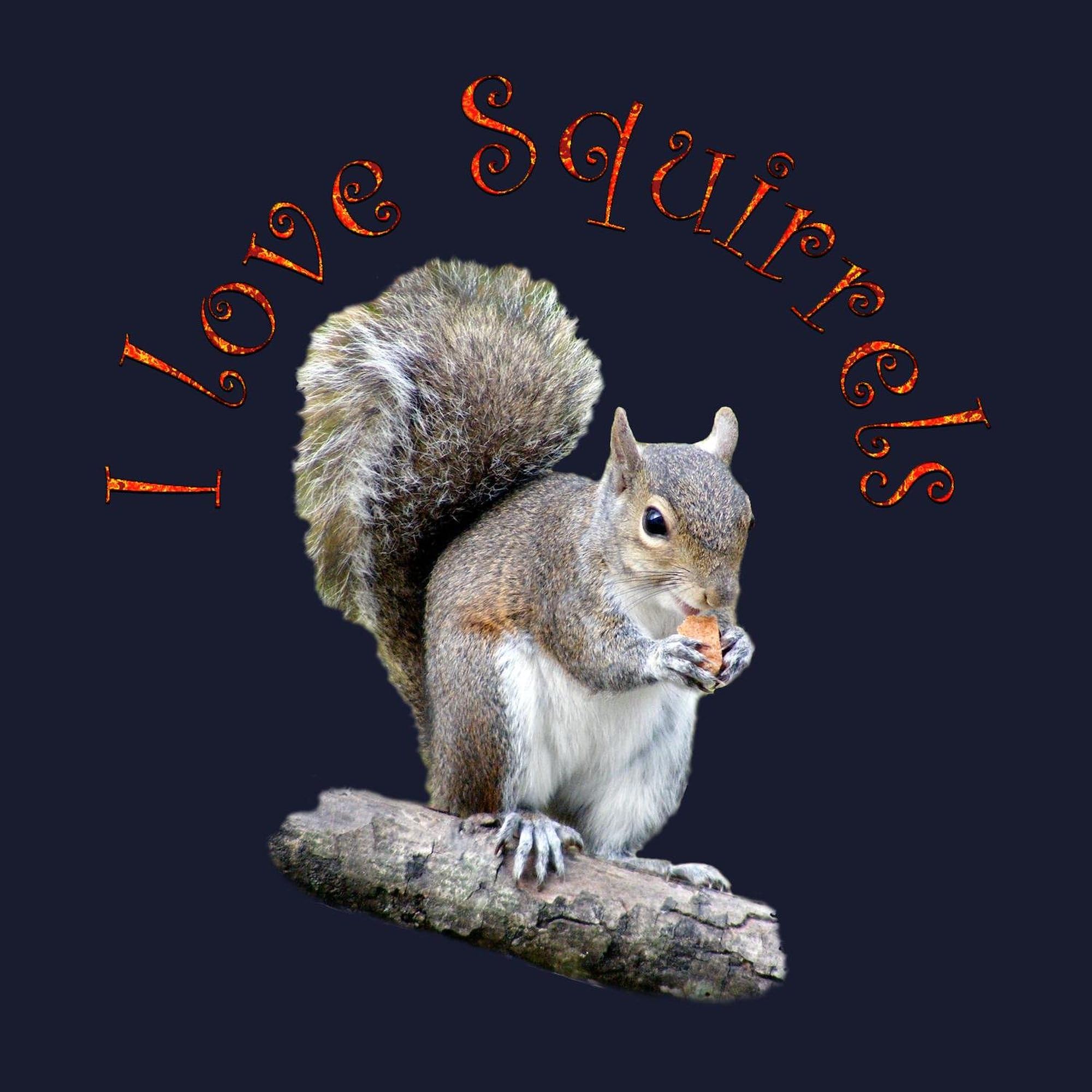 Warm & Cozy Squirrel Sweatshirt - Classic Crew Neck Pullover for Women & Men | Perfect for Fall, Winter & Outdoor Activities