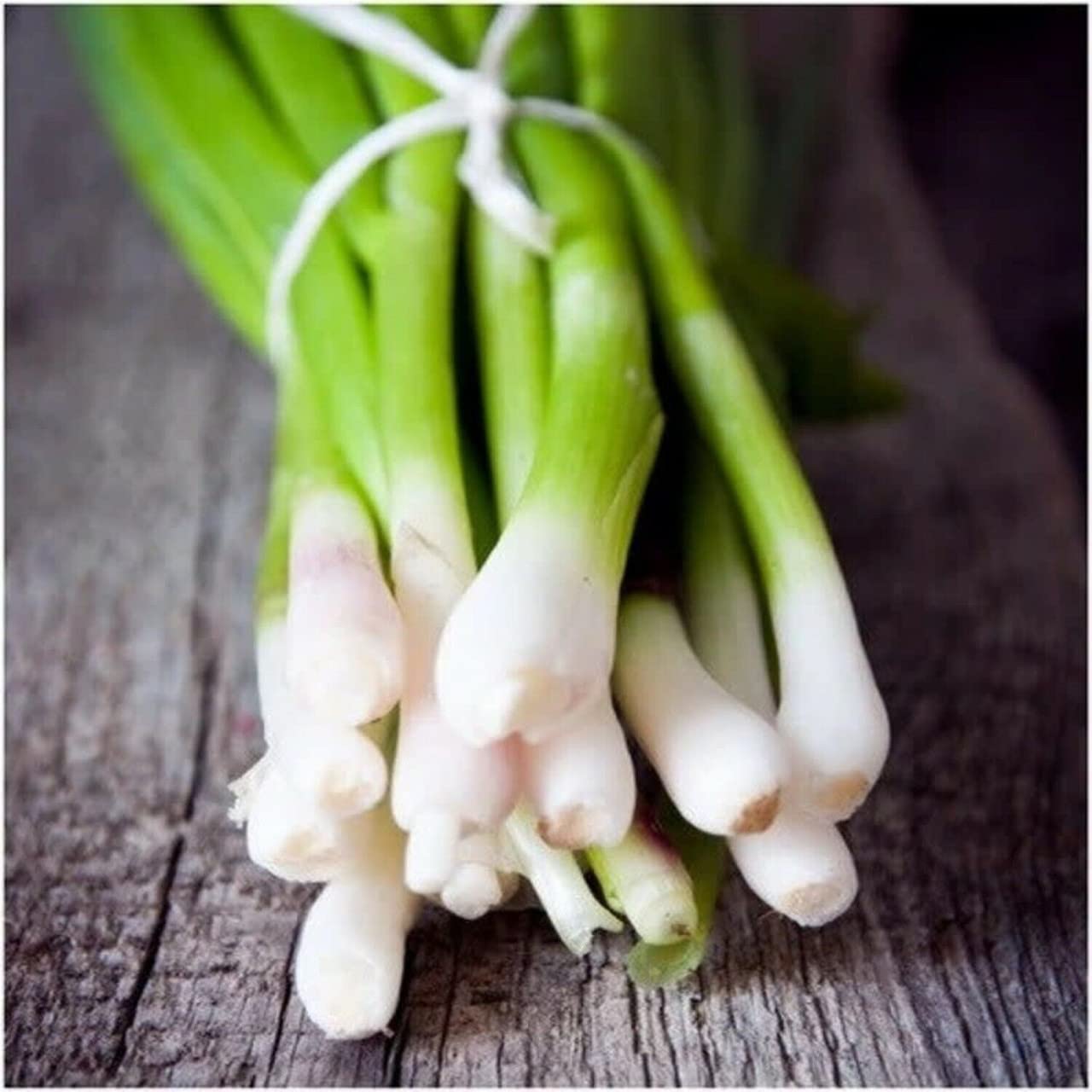 Organic Tokyo Long White Bunching Onion Heirloom Seeds - Non-GMO, 1g Packet for Home Gardening, Cooking & Fresh Salads