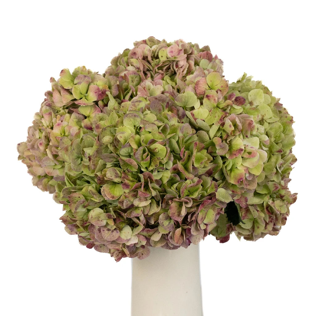 Antique Green Red Extra Large Hydrangea Silk Flowers - Premium Artificial Floral Arrangement for Wedding Centerpieces, Home Decor, and Event Styling