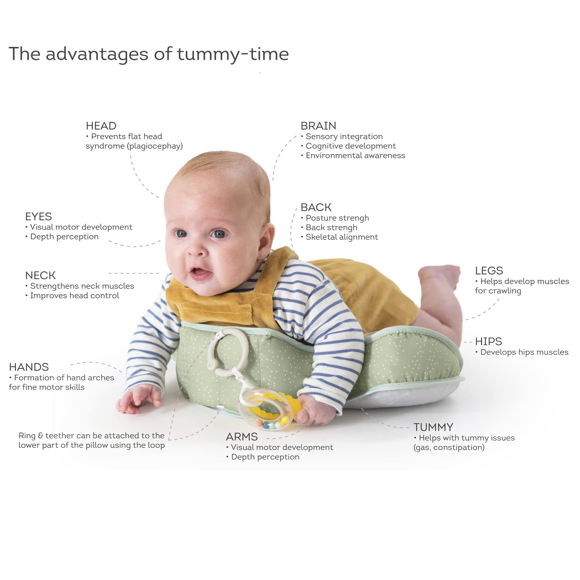 Taf Toys Tummy Time Cushion with Detachable Toys - Newborn Developmental Support for 0-6 Months | Strengthens Crawling Muscles | Montessori Sensory Toy for Infants & Toddlers | Perfect for Playtime, Floor Activities & Early Learning