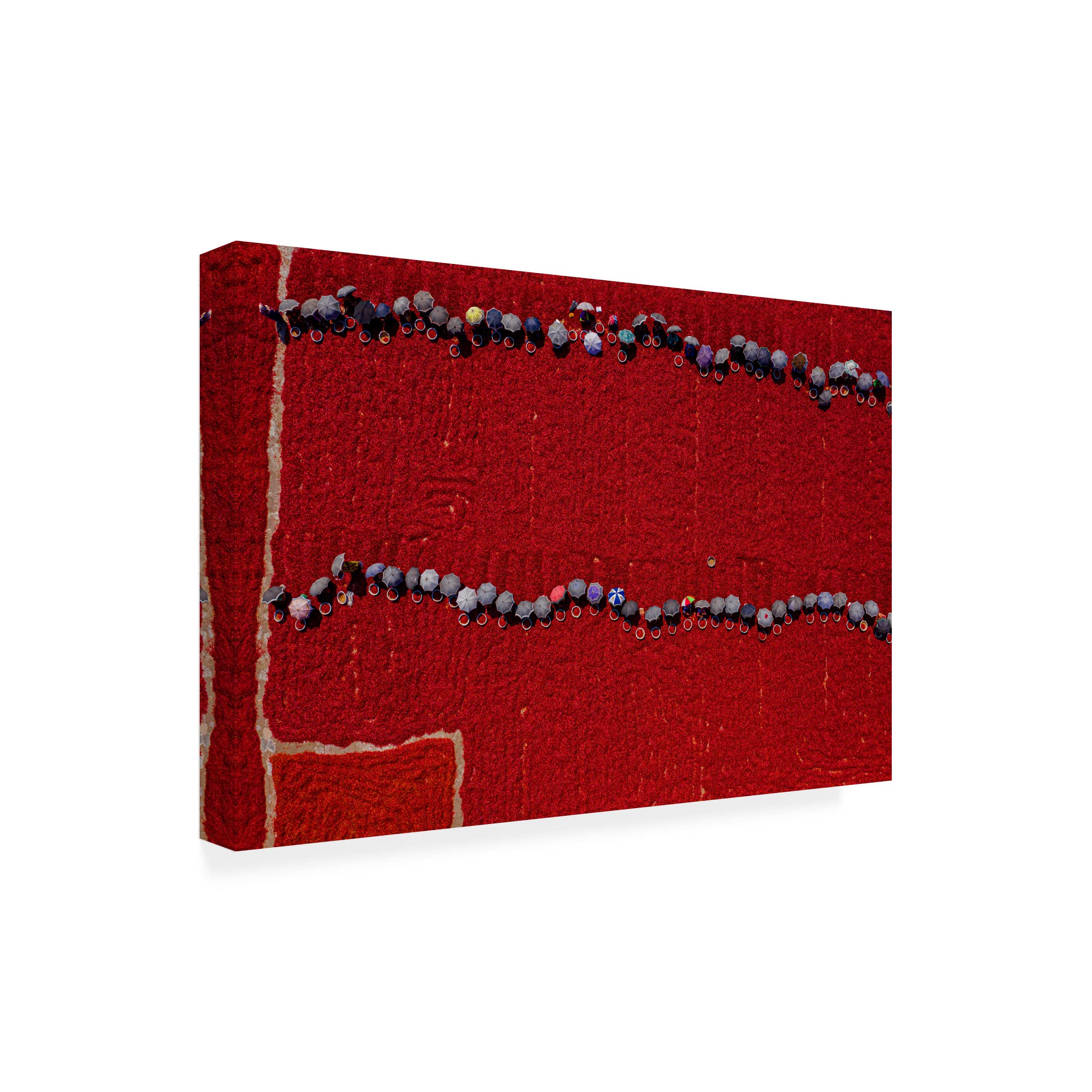 Trademark Fine Art 'Working On Red Chilies' Canvas Wall Art by Azim Khan Ronnie - Vibrant Kitchen Decor & South Asian Inspired Home Décor for Dining Room & Living Room