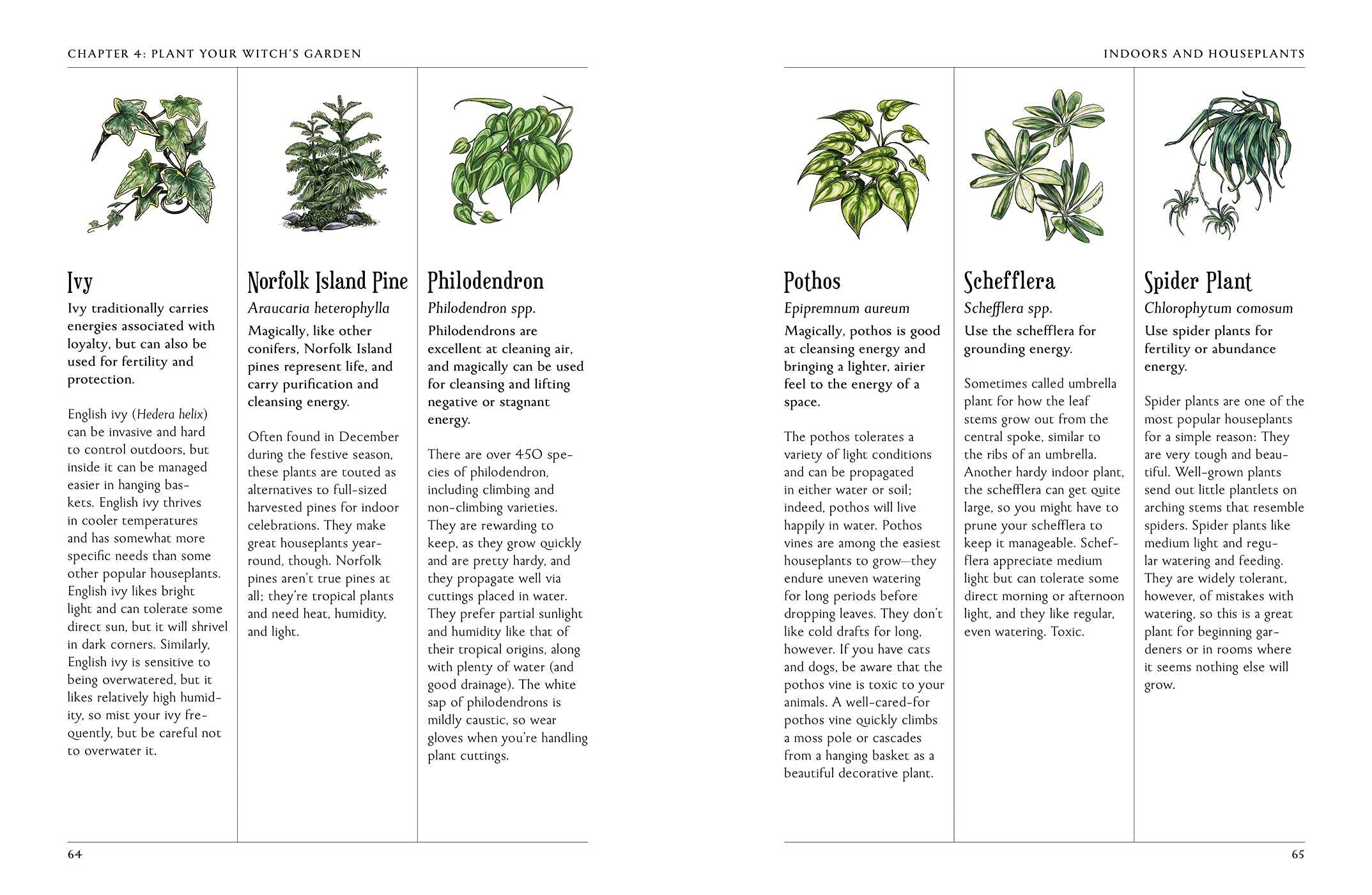 The Green Witch's Garden: Complete Guide to Creating & Cultivating a Magical Herbal Garden Space | Green Witchcraft Series | Perfect for Wiccan Altars, Moon Rituals & Spiritual Healing