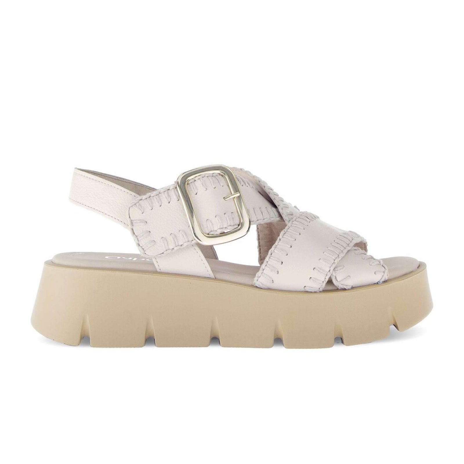 Cervo/Creme