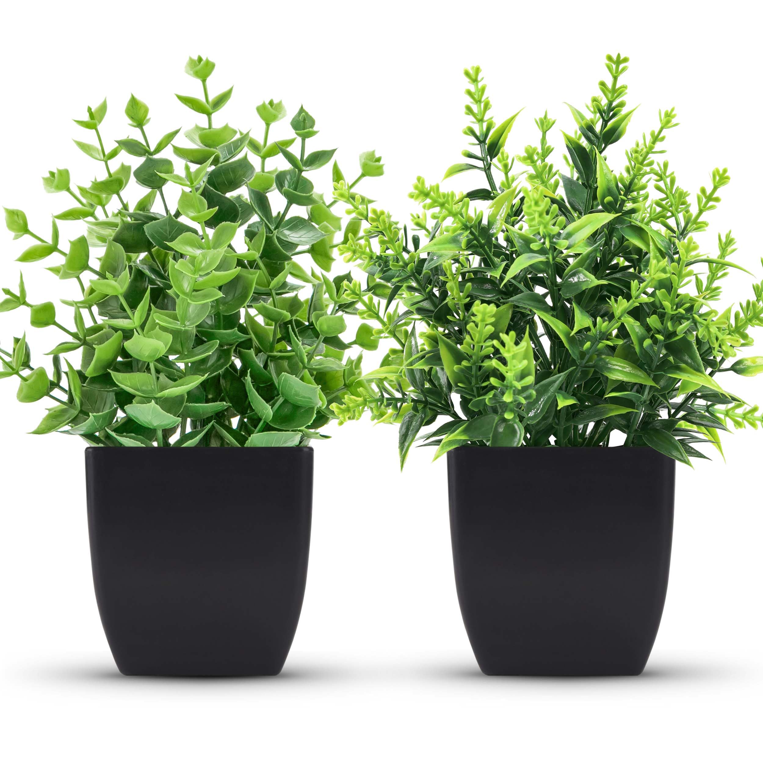 2 Pack Small Fake Plants - Black Artificial Greenery for Bathroom, Bedroom, Kitchen Decor | Home Accessories for Modern Interior Design