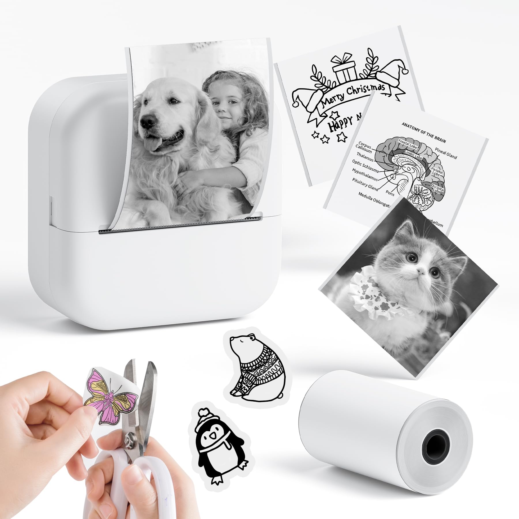 Print Pods Mini Sticker Printer - Portable Thermal Printer for Study Notes, DIY Crafts & To-Do Lists | Wireless iOS & Android Compatible | Perfect for Students, Journaling & Planner Organization