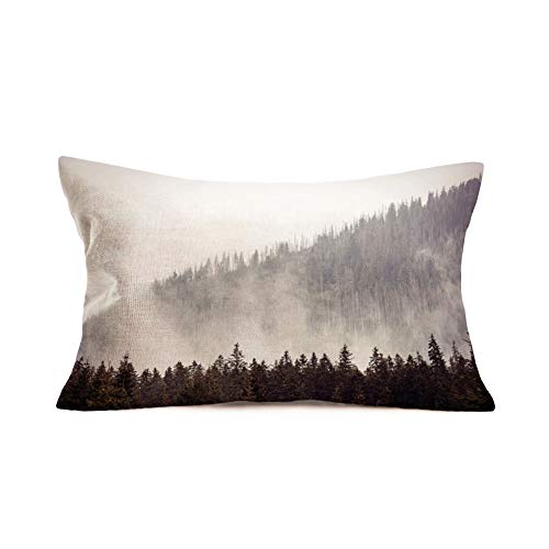 Foggy Forest Trees