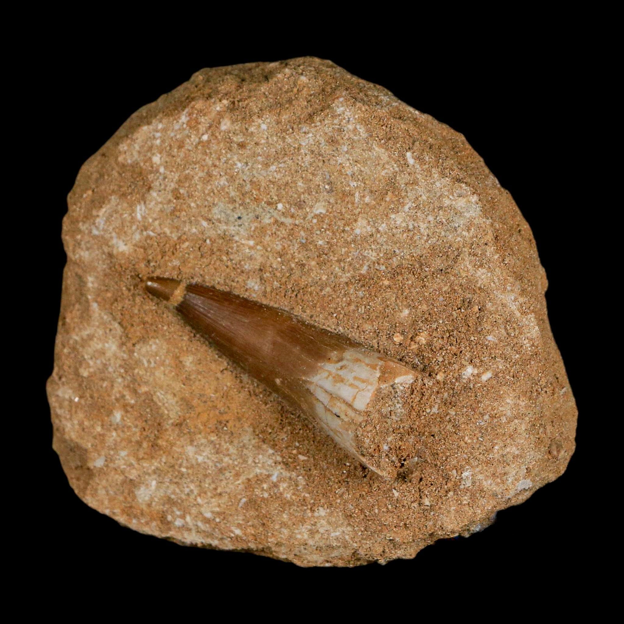 1.6