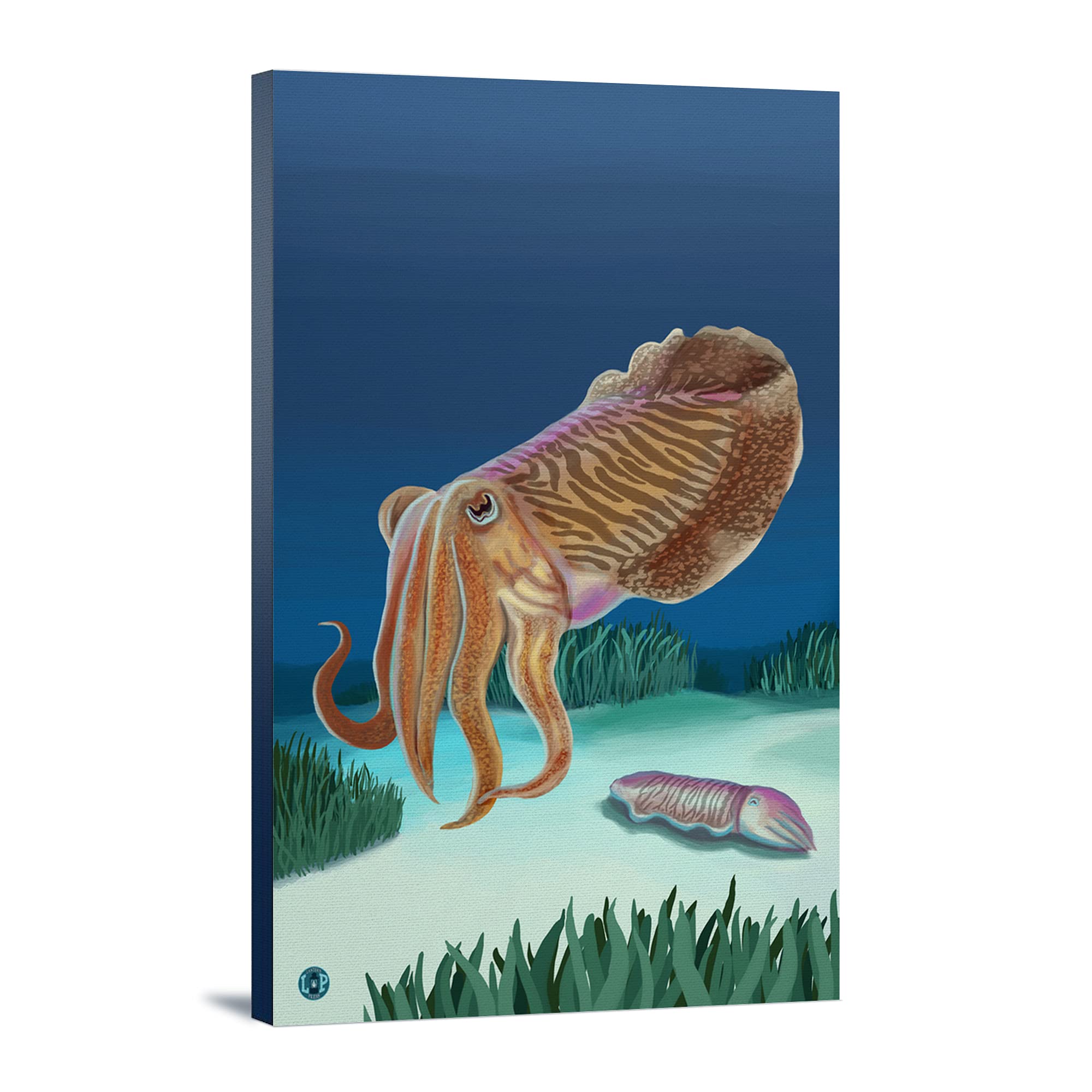 Lantern Press Cuttlefish Wall Art - 16x24 Wrapped Canvas Print for Home & Office Decor - Modern Marine Life Painting for Living Room, Bedroom or Gallery Display