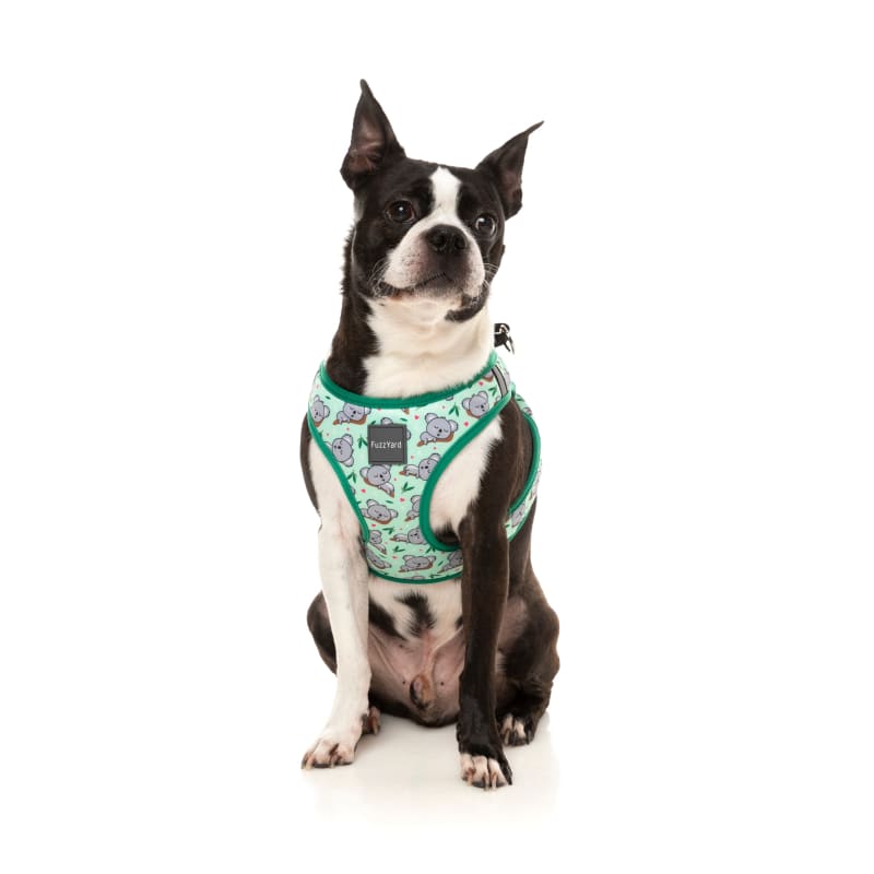 Fuzzyard Dreamtime Koalas Dog Step-in Harness - Adjustable Soft Padded Vest for Small Medium Large Dogs (6 Sizes) | Perfect for Walking, Hiking & Outdoor Adventures